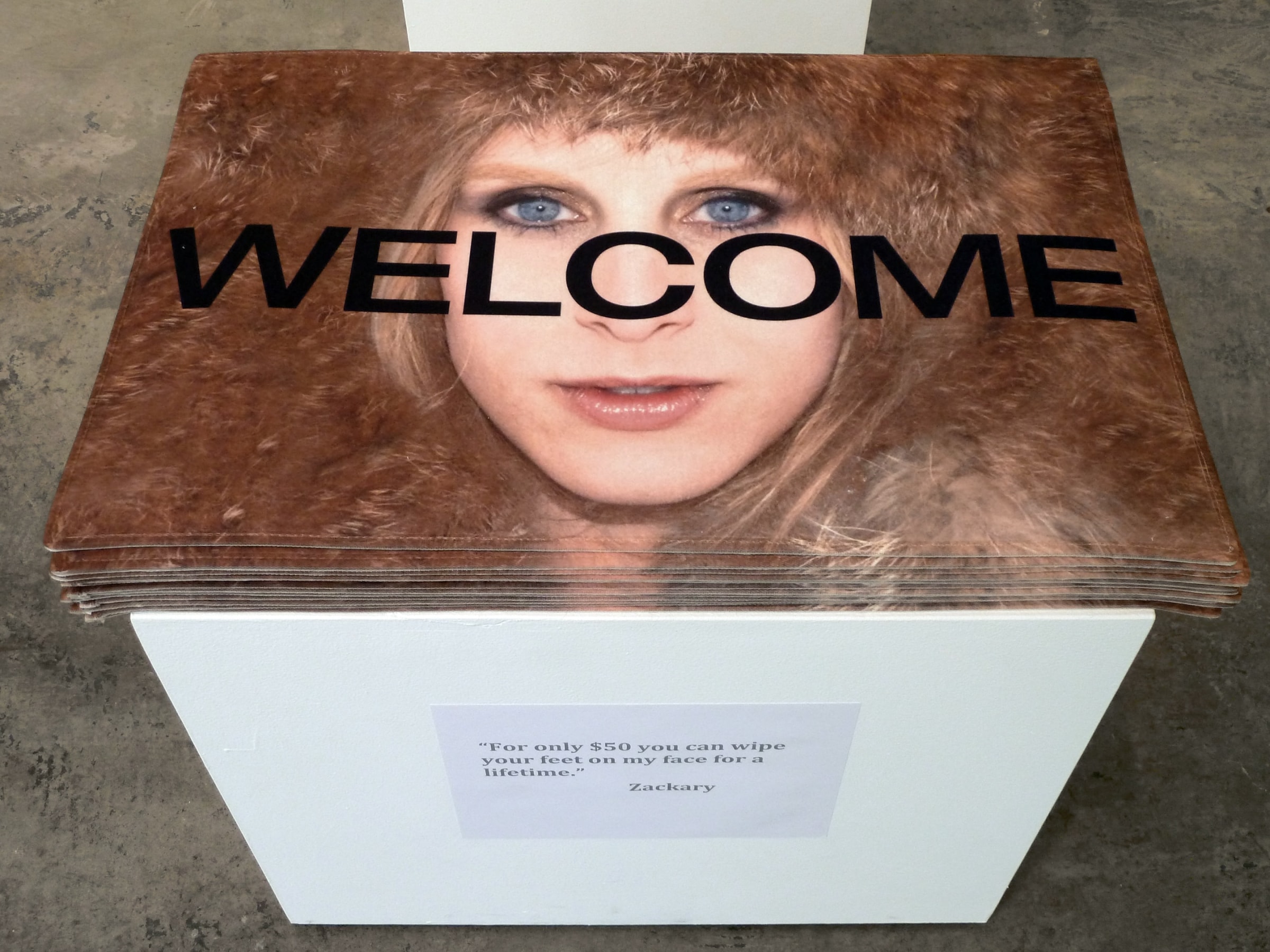 Installation View of Zackary Drucker and Amos Mac: Distance is where your heart is, home is where you hang your heart​