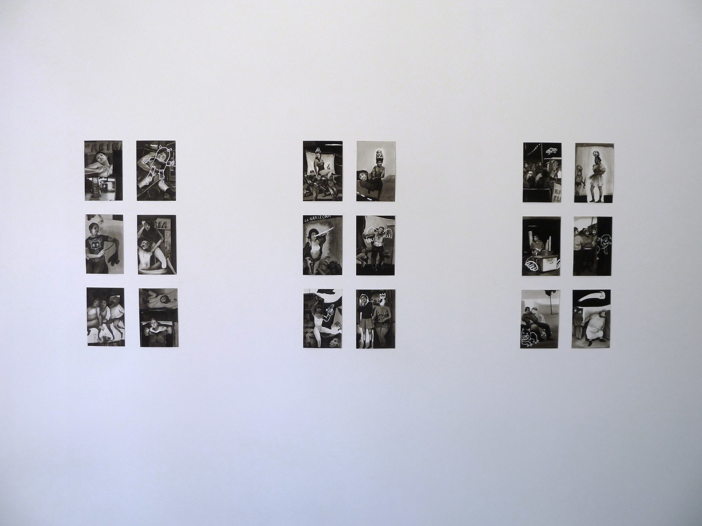 Installation View of Hugo Crosthwaite: Studies for Carpas