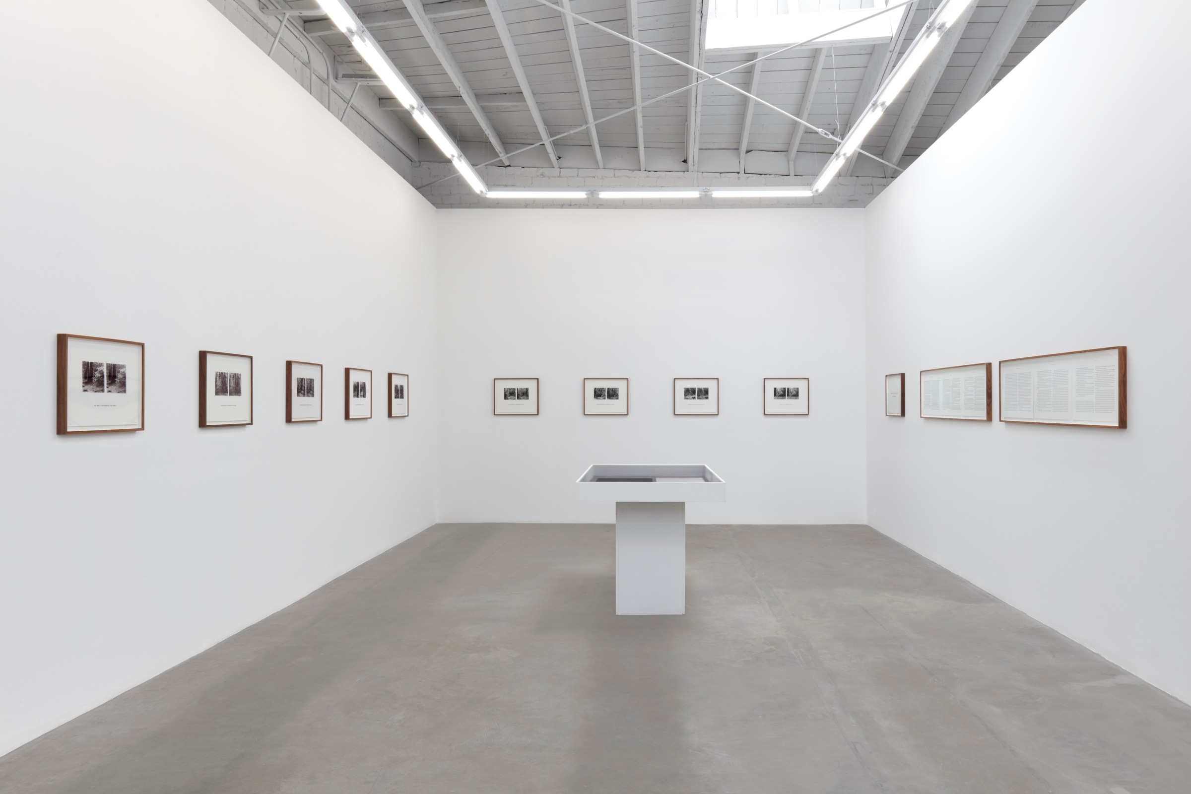 Installation view of Susan Silton: WE_Image 1
