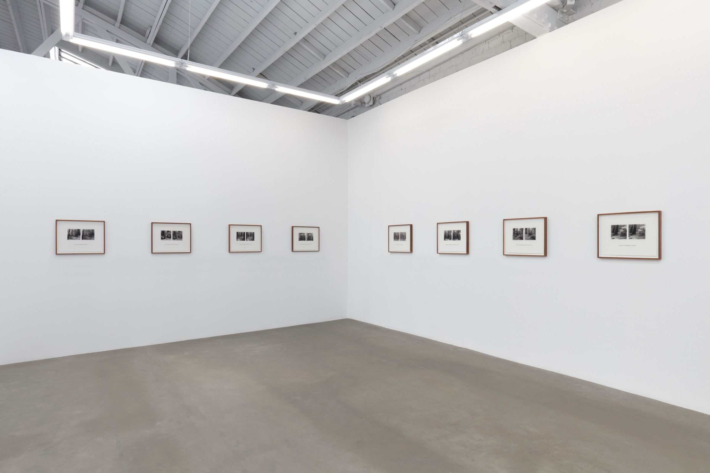 Installation view of Susan Silton: WE_Image 7