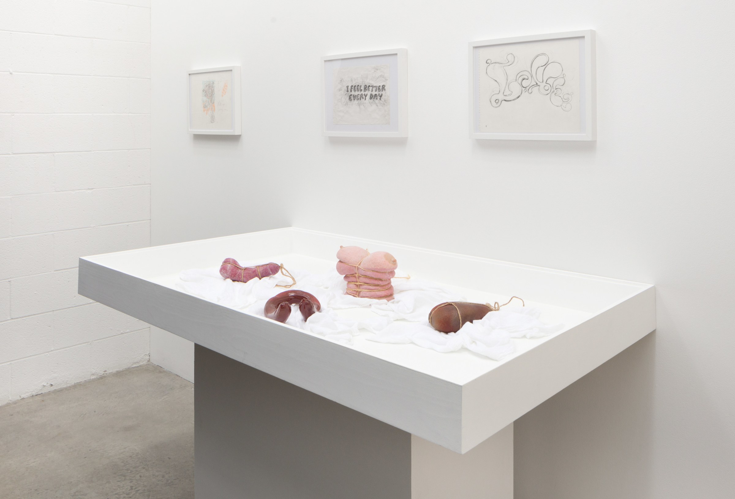 Installation View of MIYOSHI BAROSH: LOVE