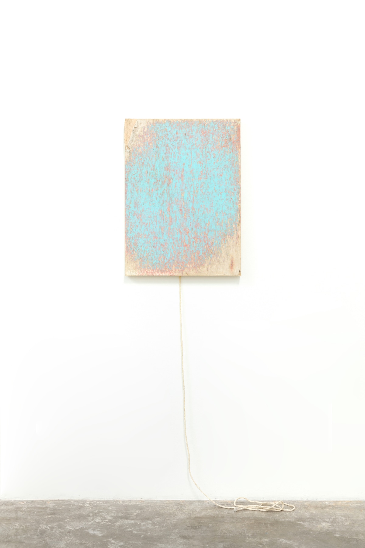 Installation View of Margie Livingston: The Earth is a Brush