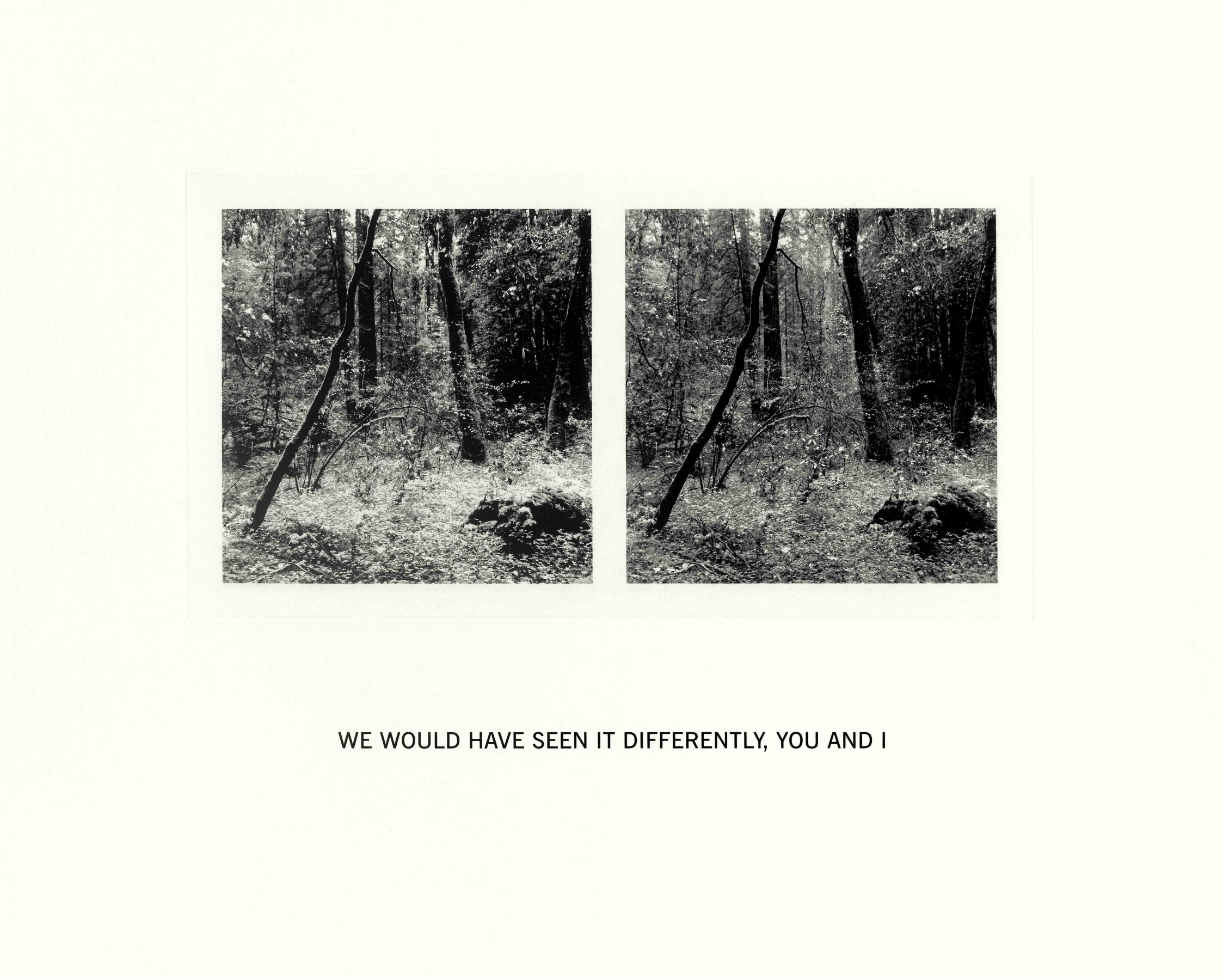 Susan Silton We Would Have Seen It Differently, You and I, 2020