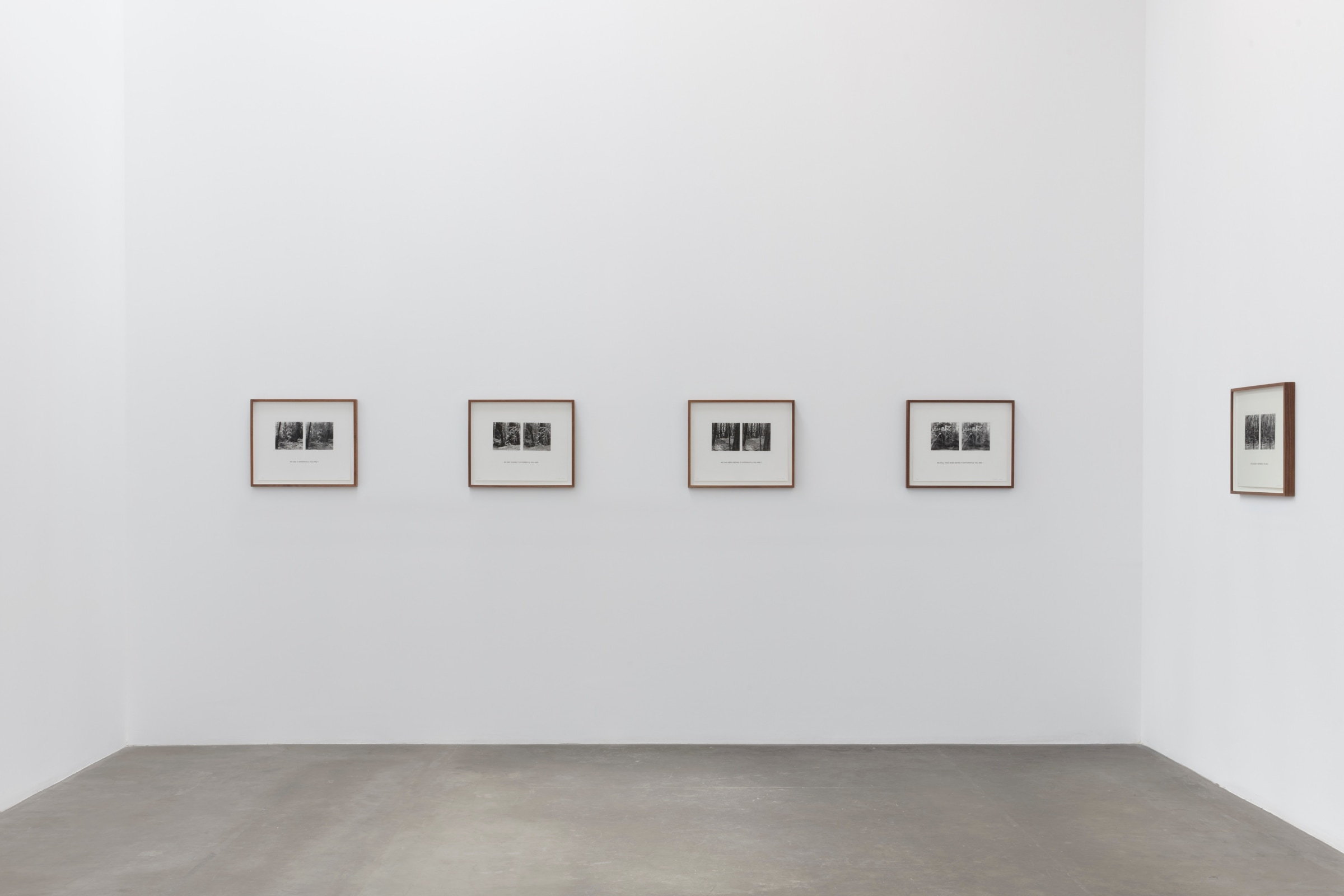 Installation view of Susan Silton: WE_Image 8