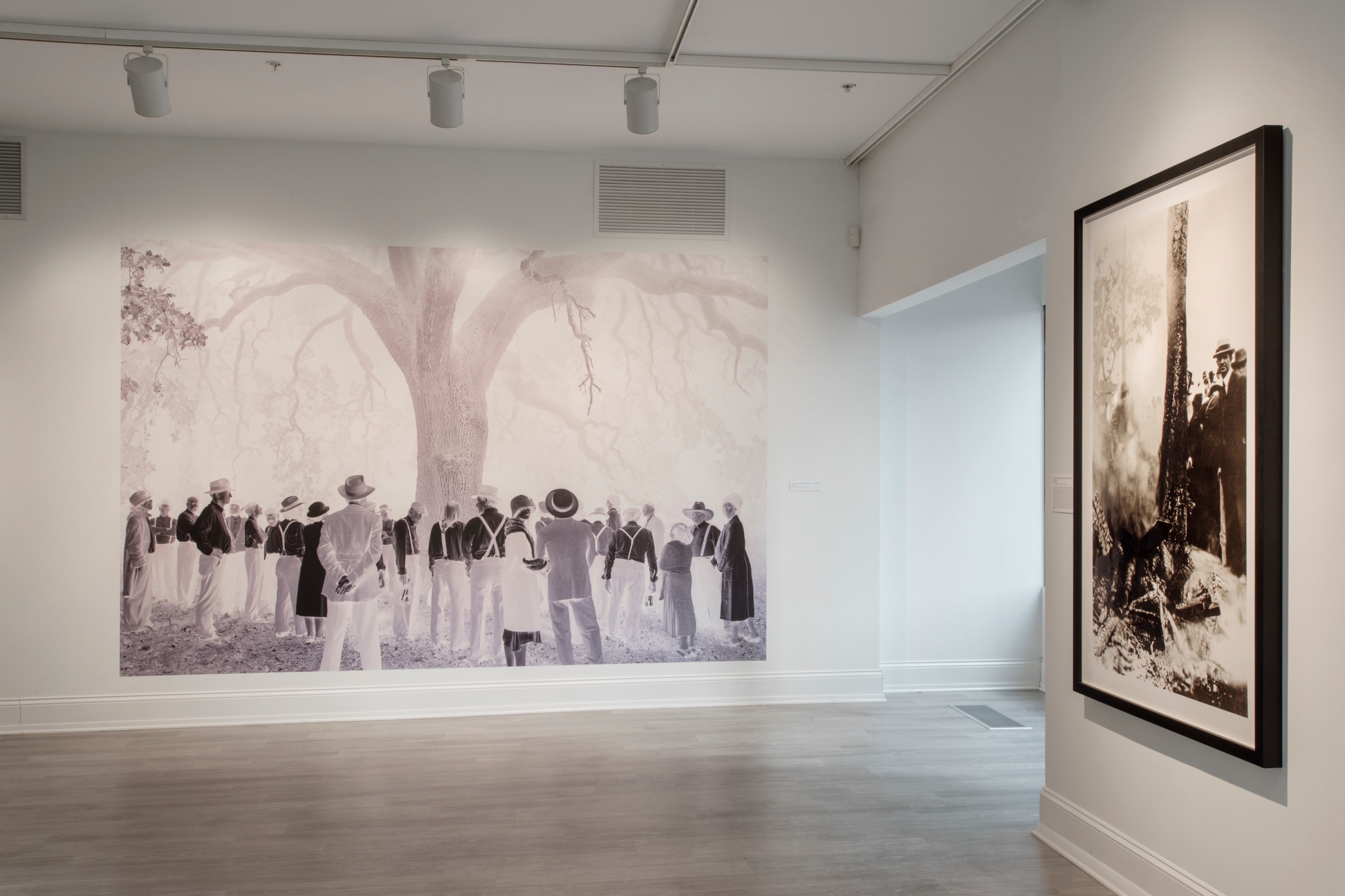 Installation View of&nbsp;Ken Gonzales Day: Shadowlands