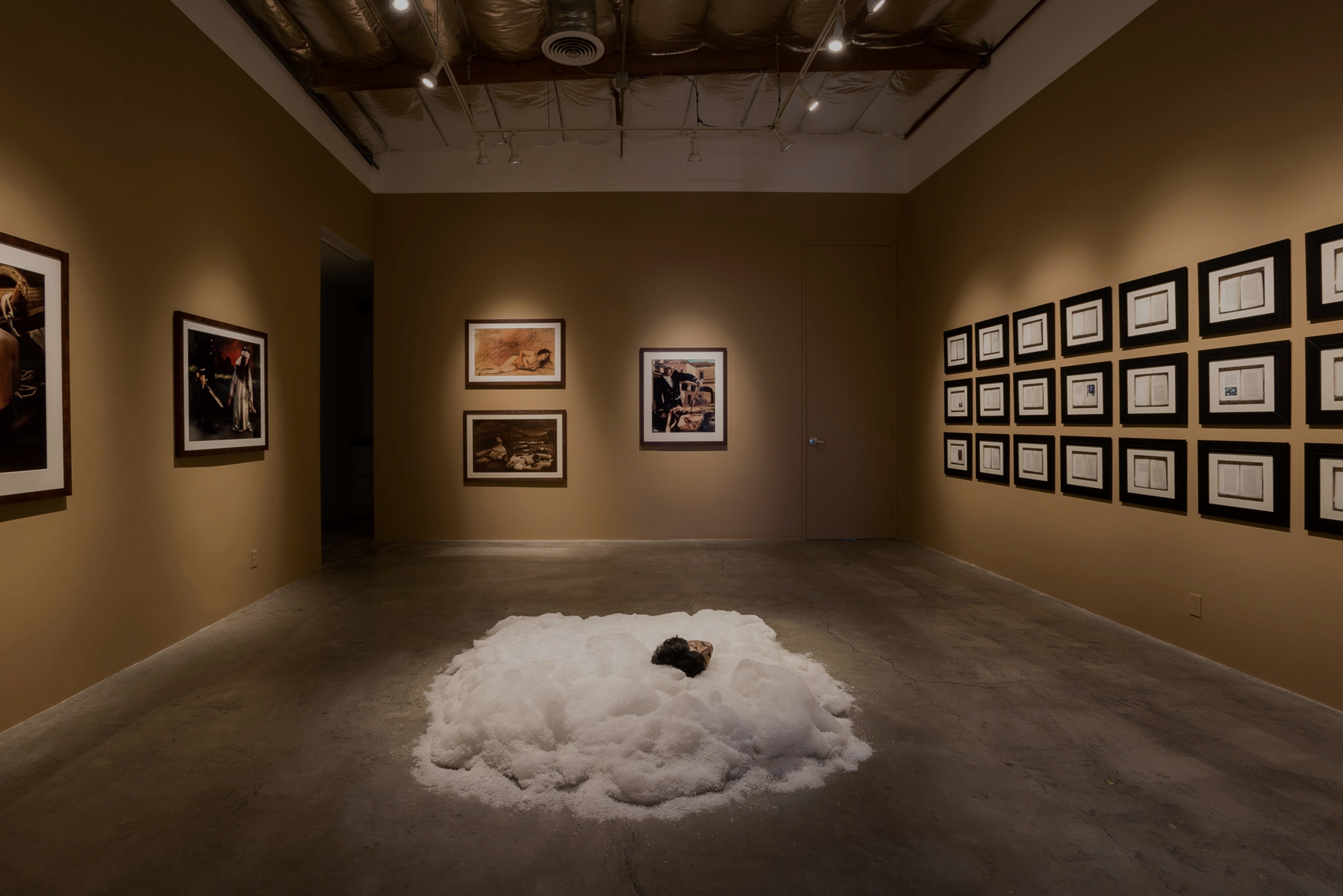 Installation View of&nbsp;Ken Gonzales-Day:&nbsp;Bone-Grass Boy: The Secret Banks of the Conejos River