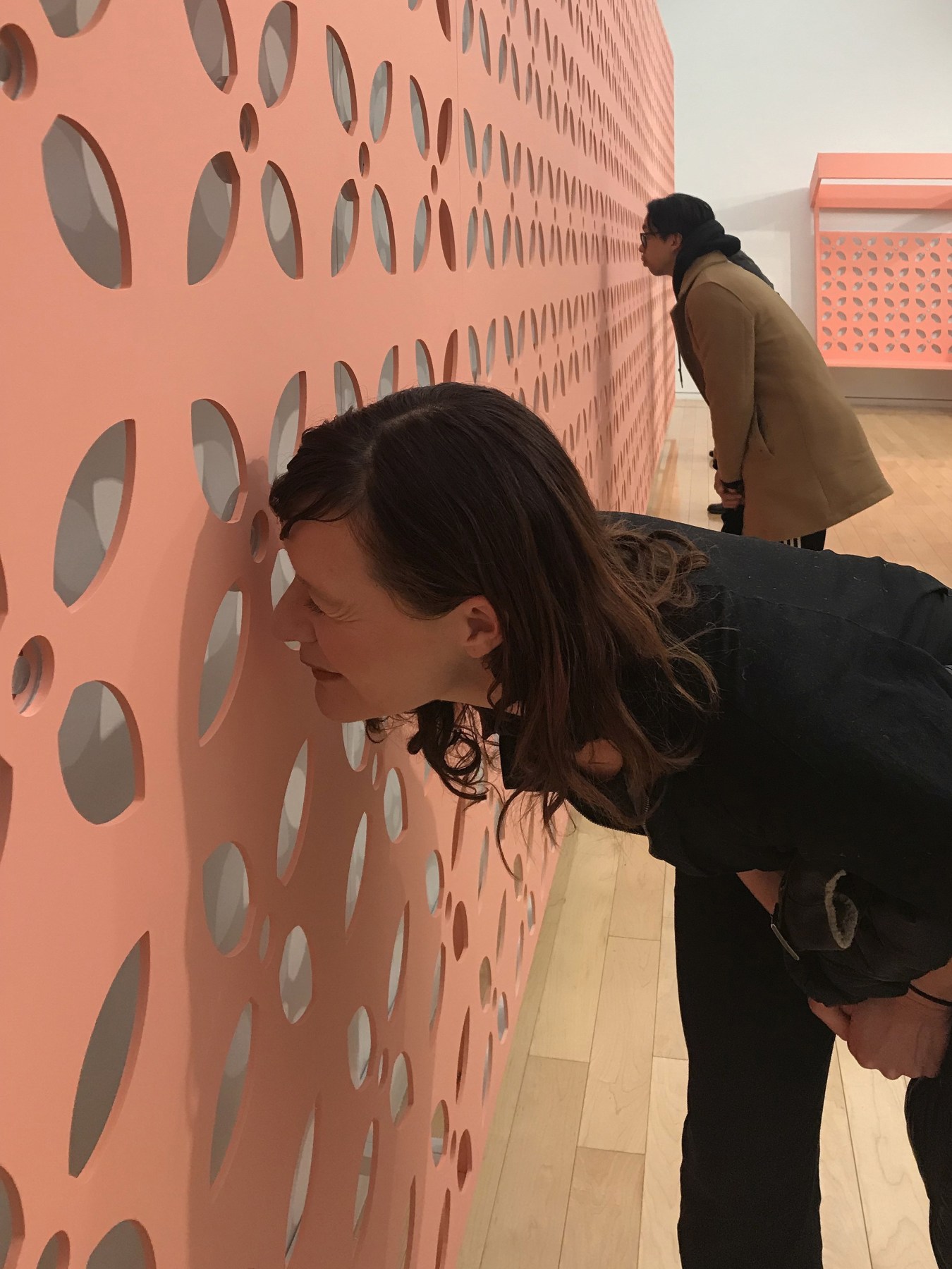 Installation view of GRAFT