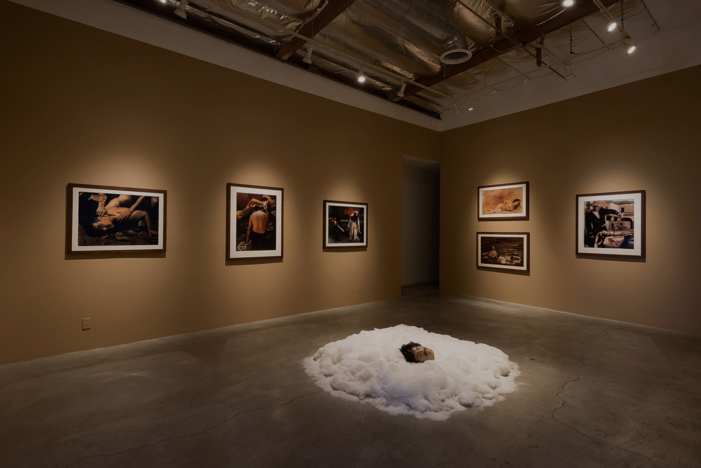 Installation View of&nbsp;Ken Gonzales-Day:&nbsp;Bone-Grass Boy: The Secret Banks of the Conejos River