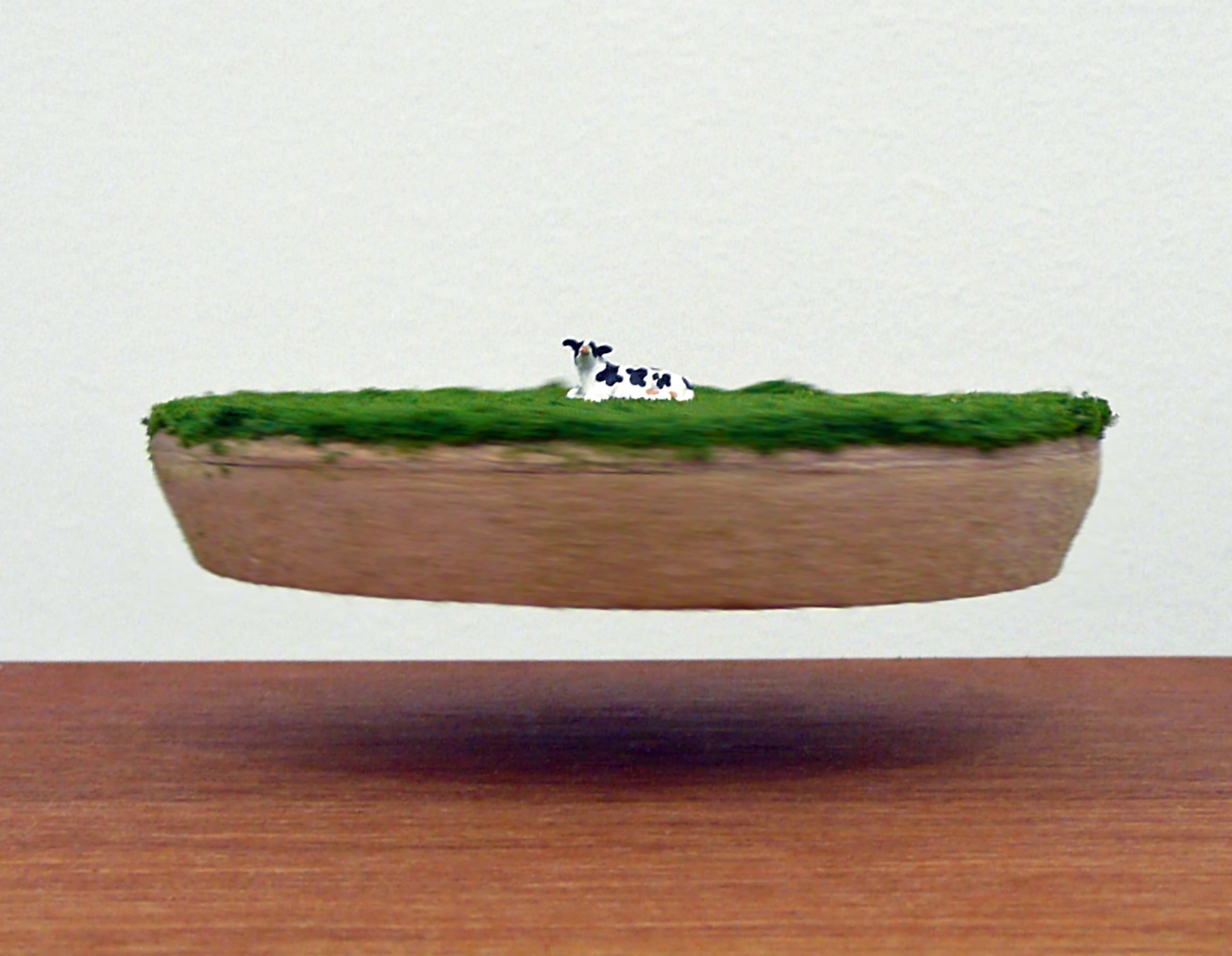 Installation View of Lael Corbin: Greetings from Earth