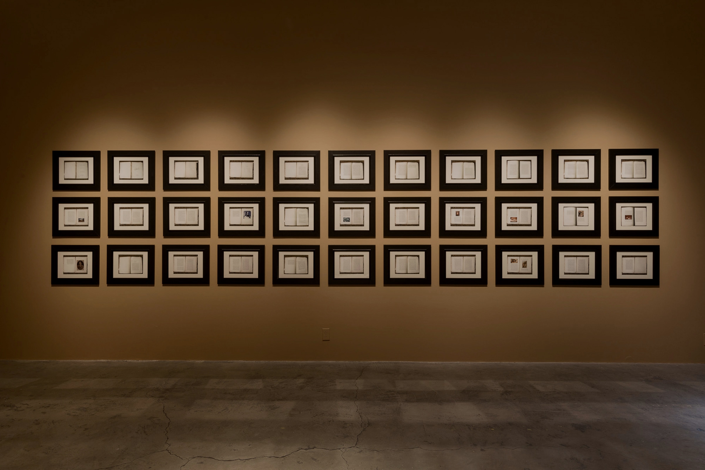 Installation View of Ken Gonzales-Day: Bone-Grass Boy: The Secret Banks of the Conejos River