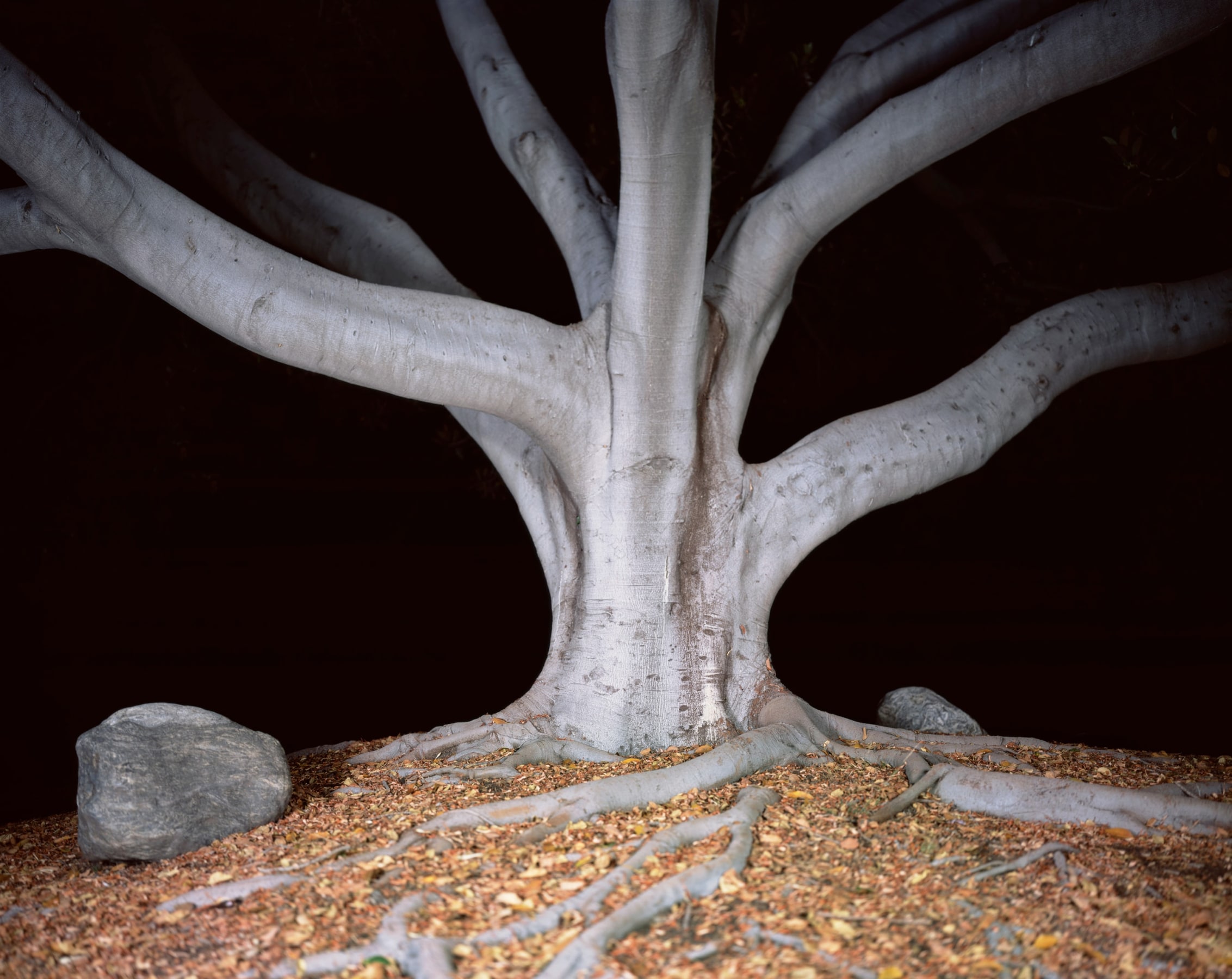 Ken Gonzales-Day Nightfall I, 2007-12 LightJet print on aluminum 36 x 46 in.