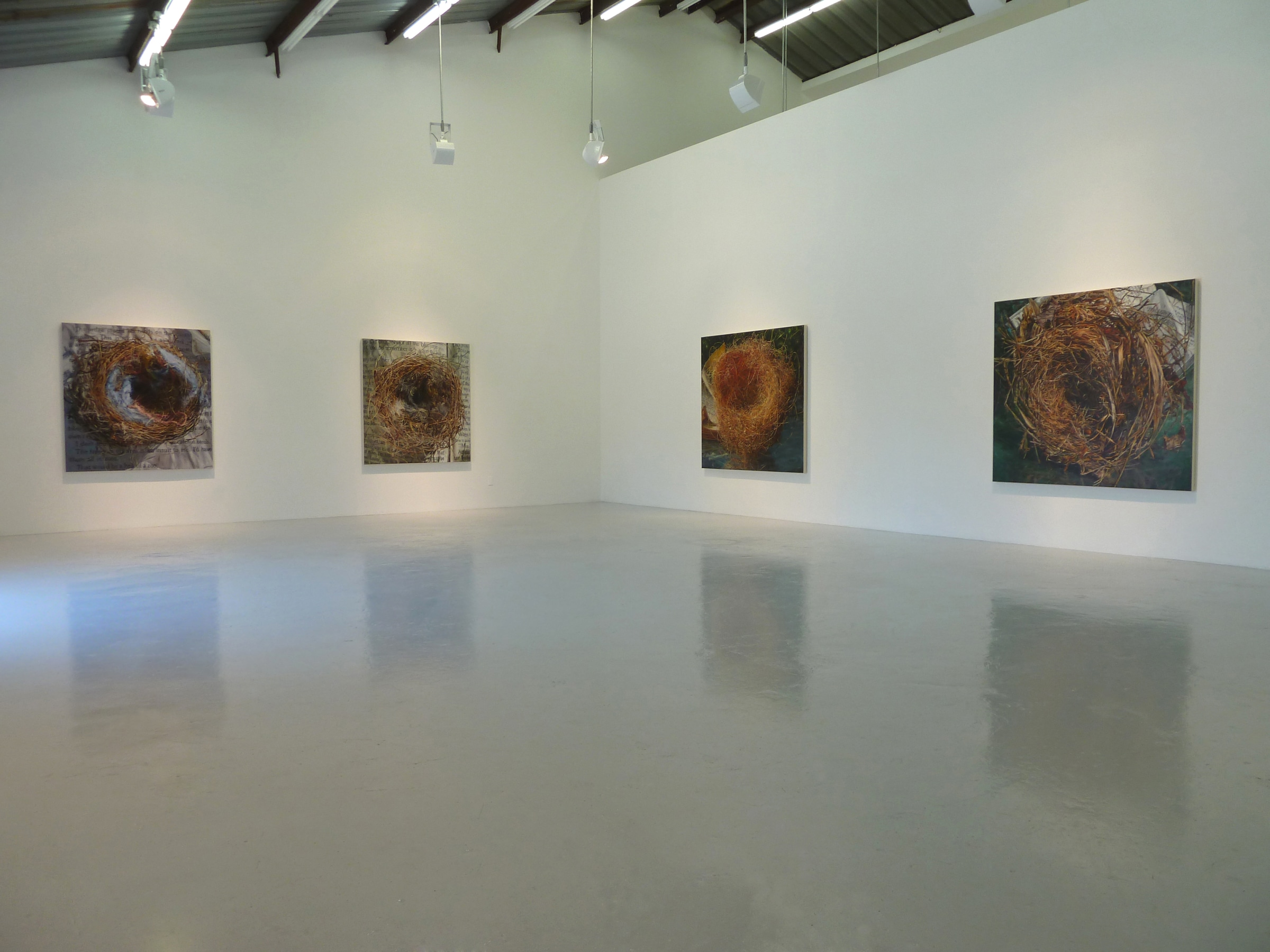 Exhibition View of Gail Roberts: Entanglement
