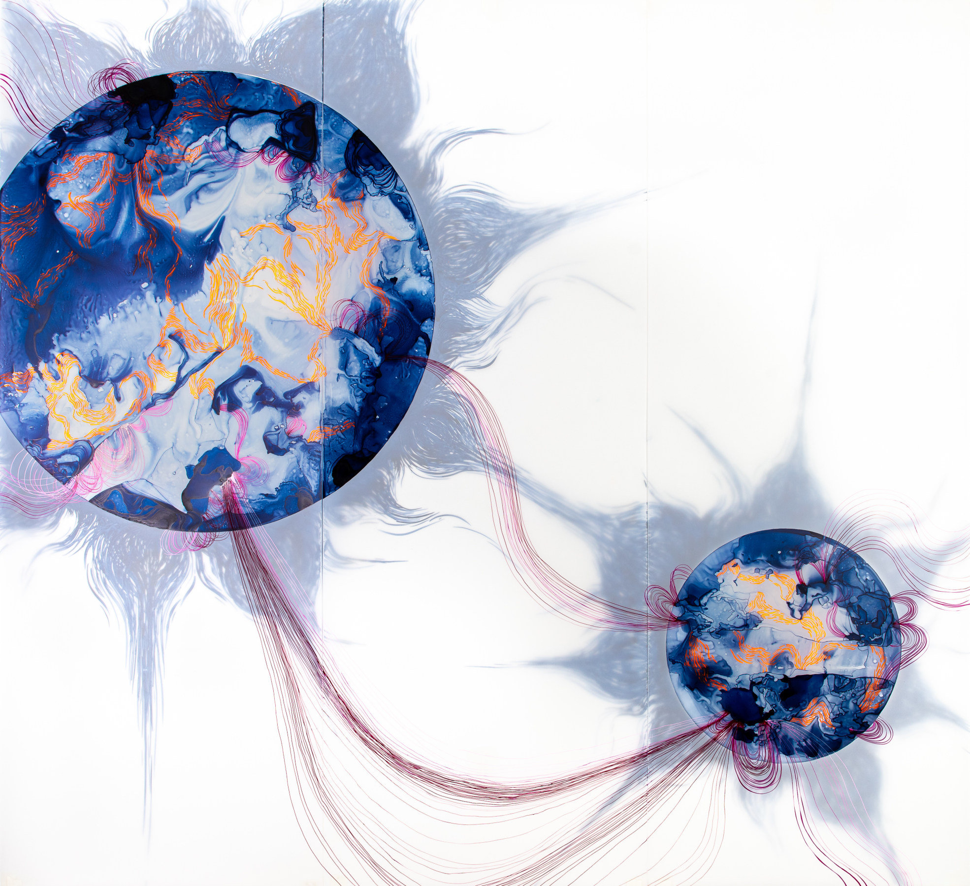 Lia Halloran Solar (Negative)