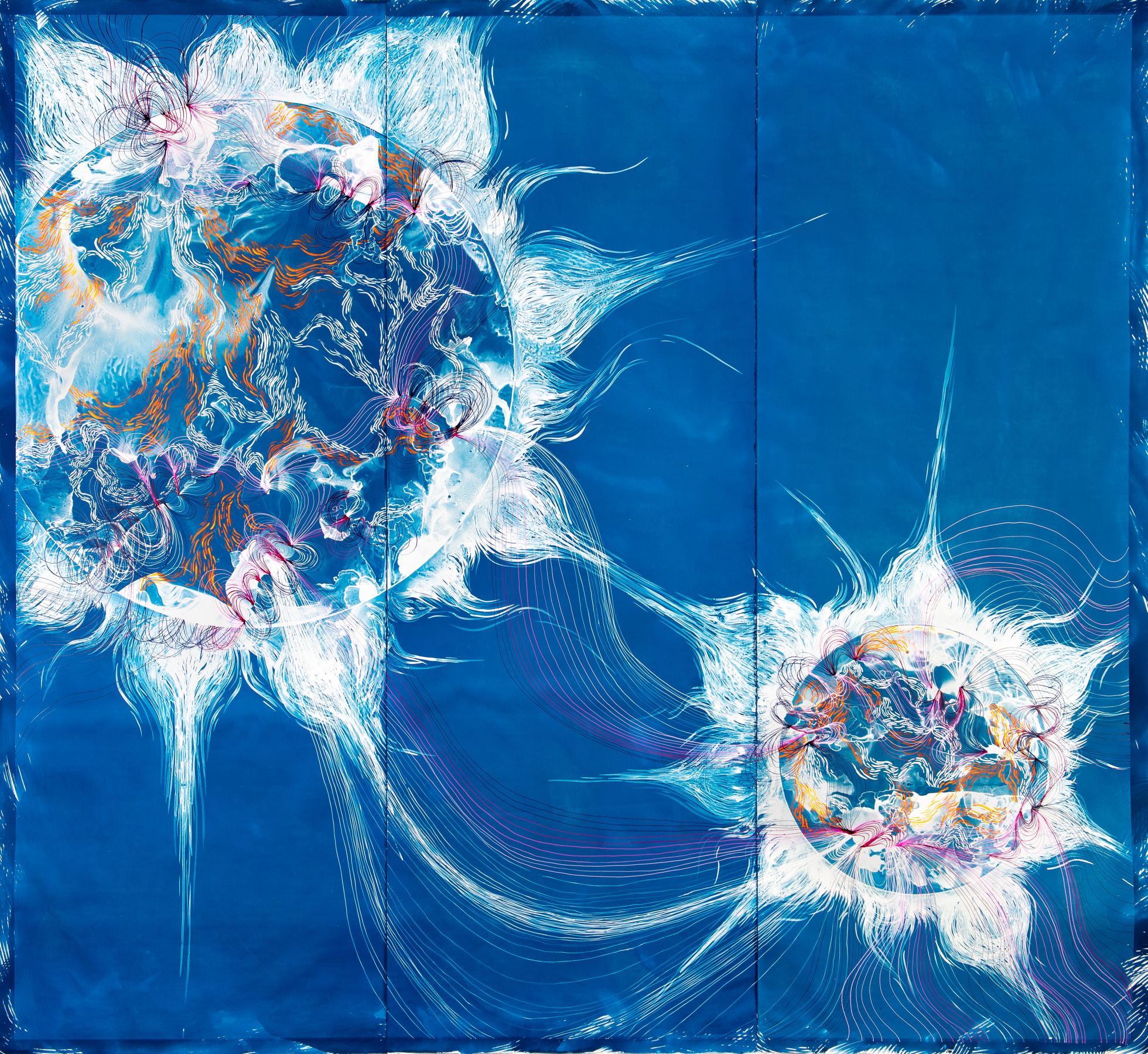 Lia Halloran Solar (Positive)