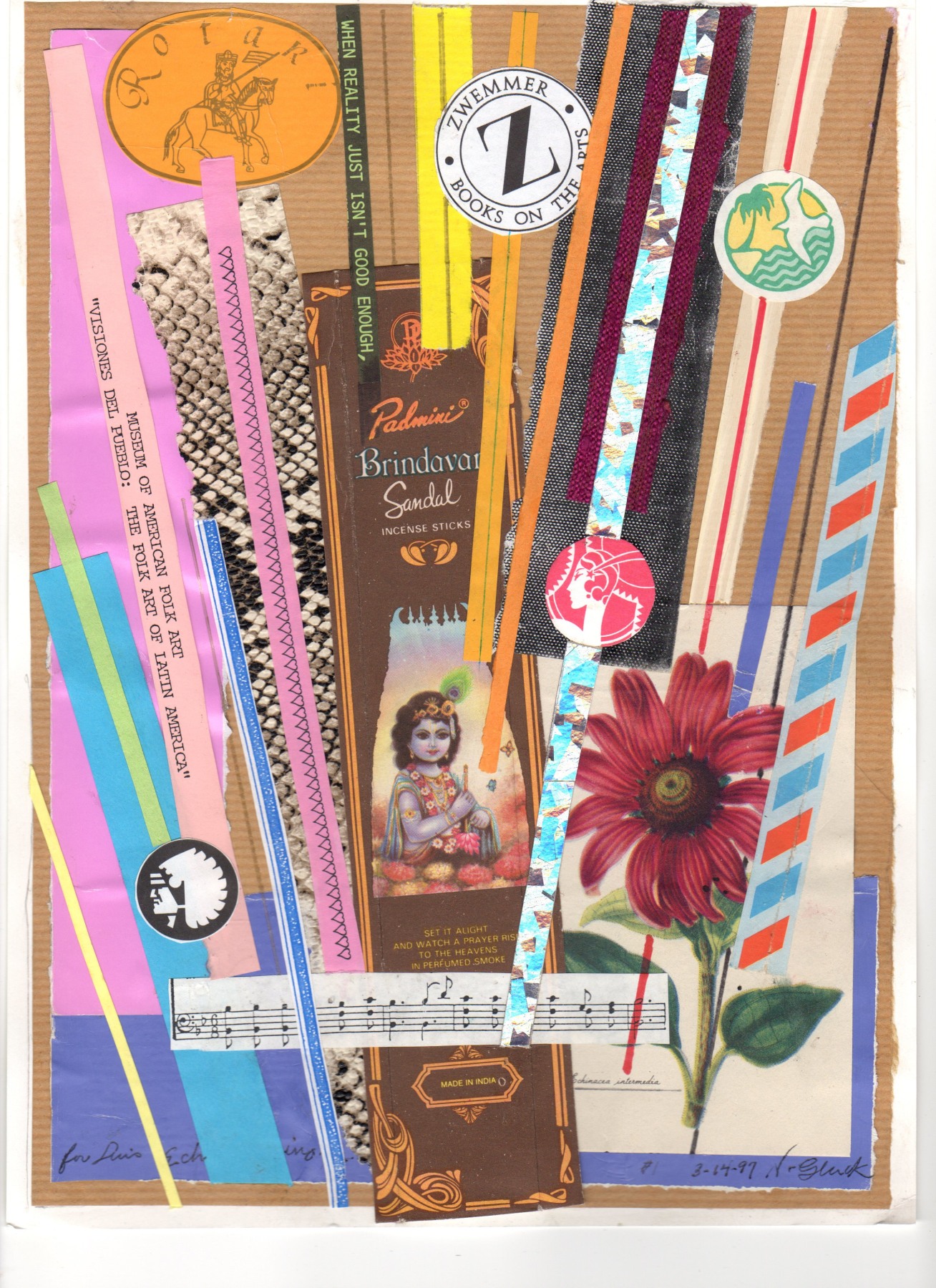 Nathan Gluck Echinacea, March 14, 1997