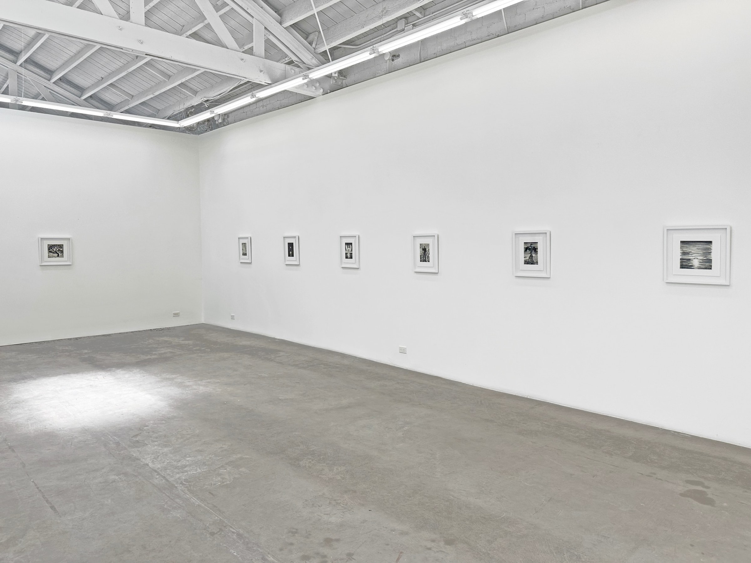 Installation view of ERIK OLSON: The Mountain and the Sea, on view June 17 - August 5, 2023