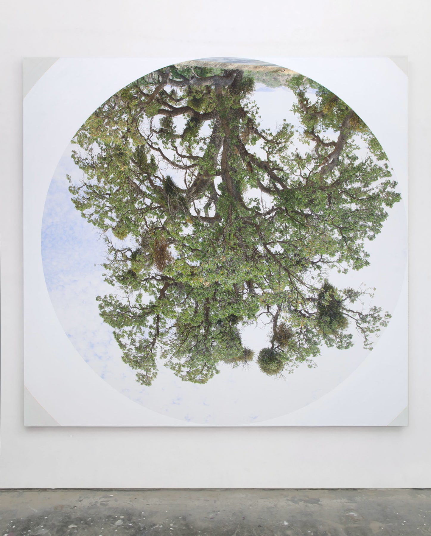 James Hyde, Axis, 2015