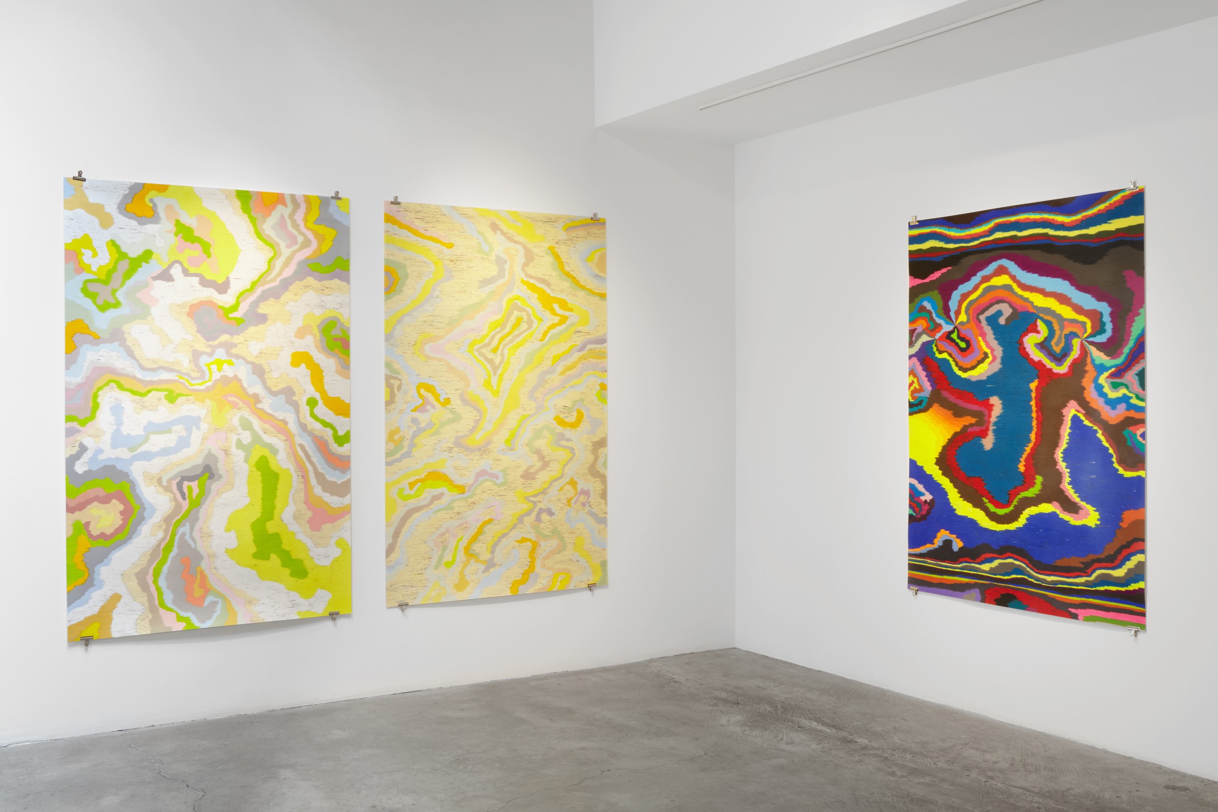 Installation View of Dennis Koch: Catch-22 x TWO