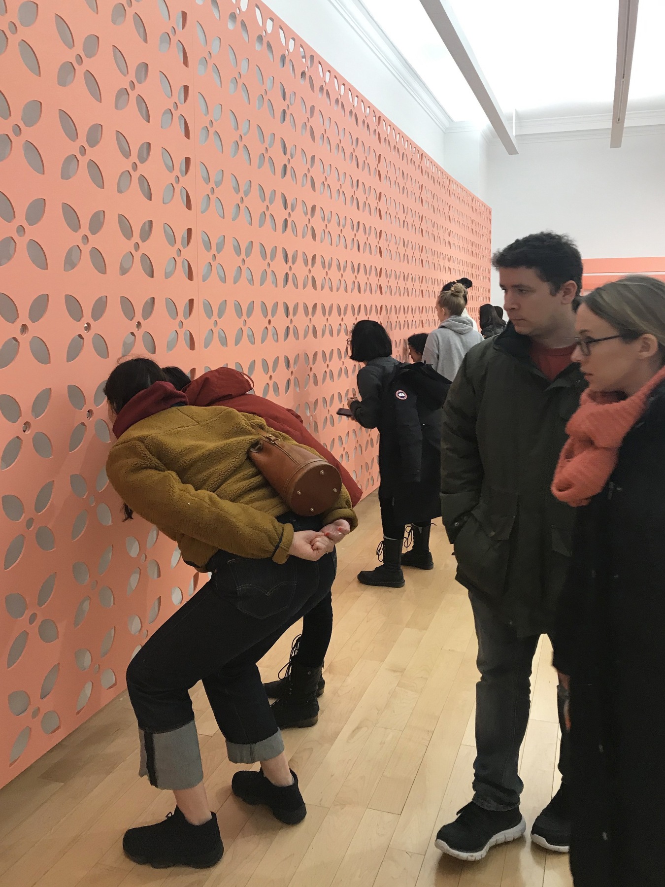 Installation view of&nbsp;GRAFT&nbsp;