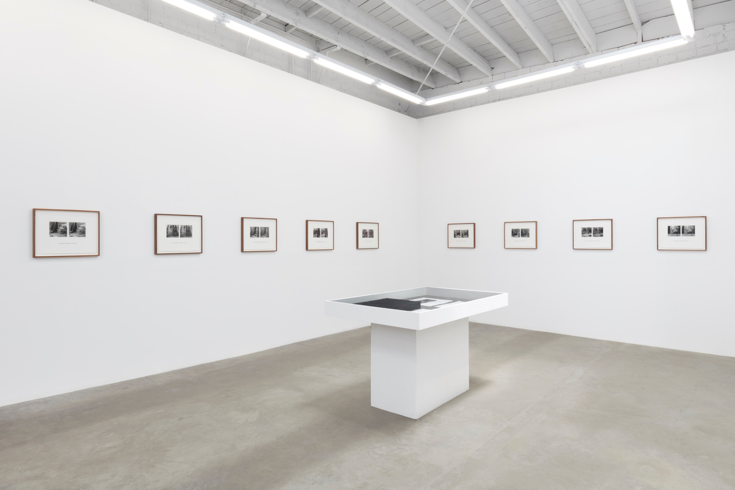 Installation view of Susan Silton: WE_Image 3
