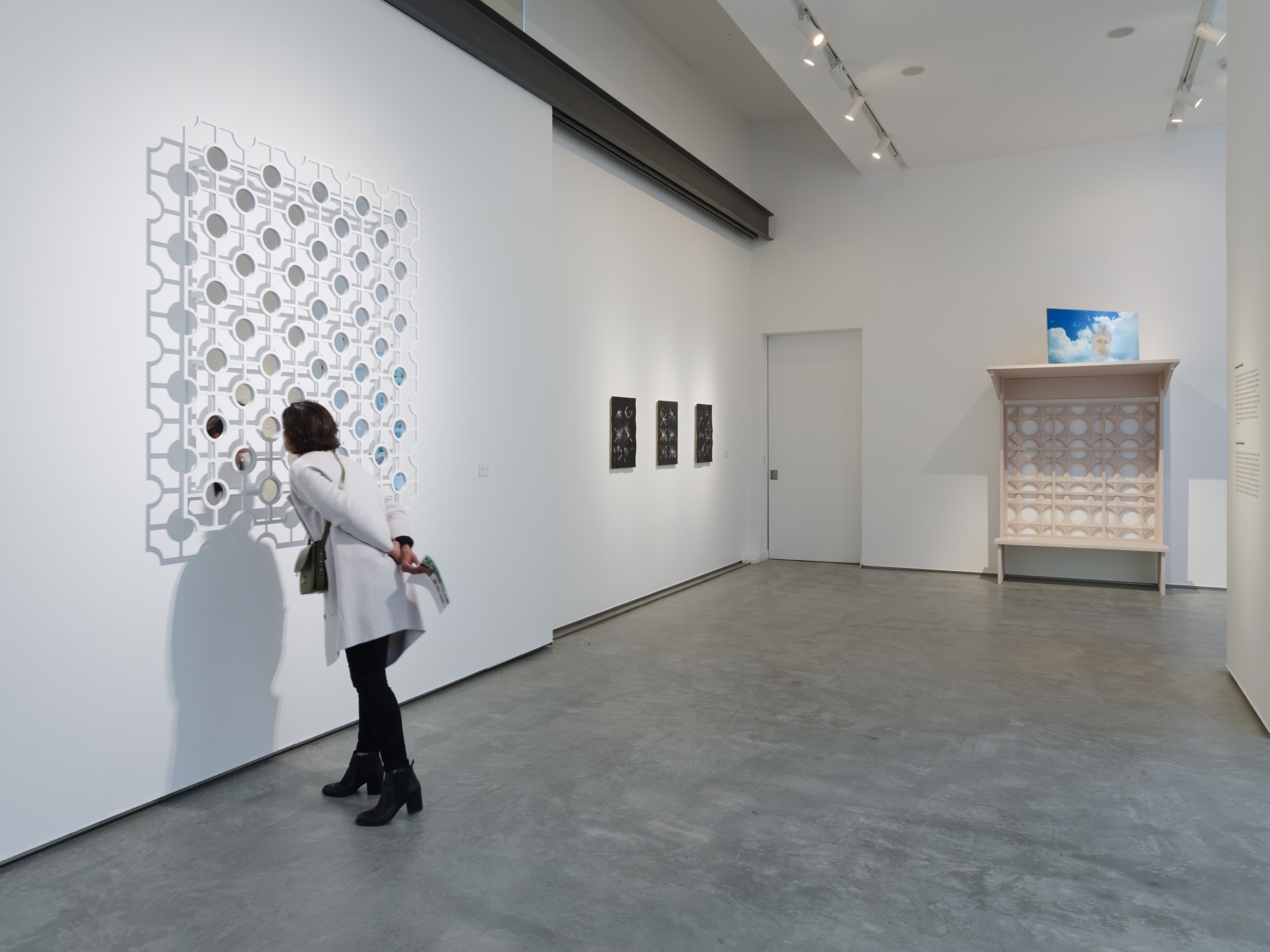 Installation view of&nbsp;Graft,&nbsp;ICA San Diego, on view&nbsp;March 4 &ndash; August 6, 2023.