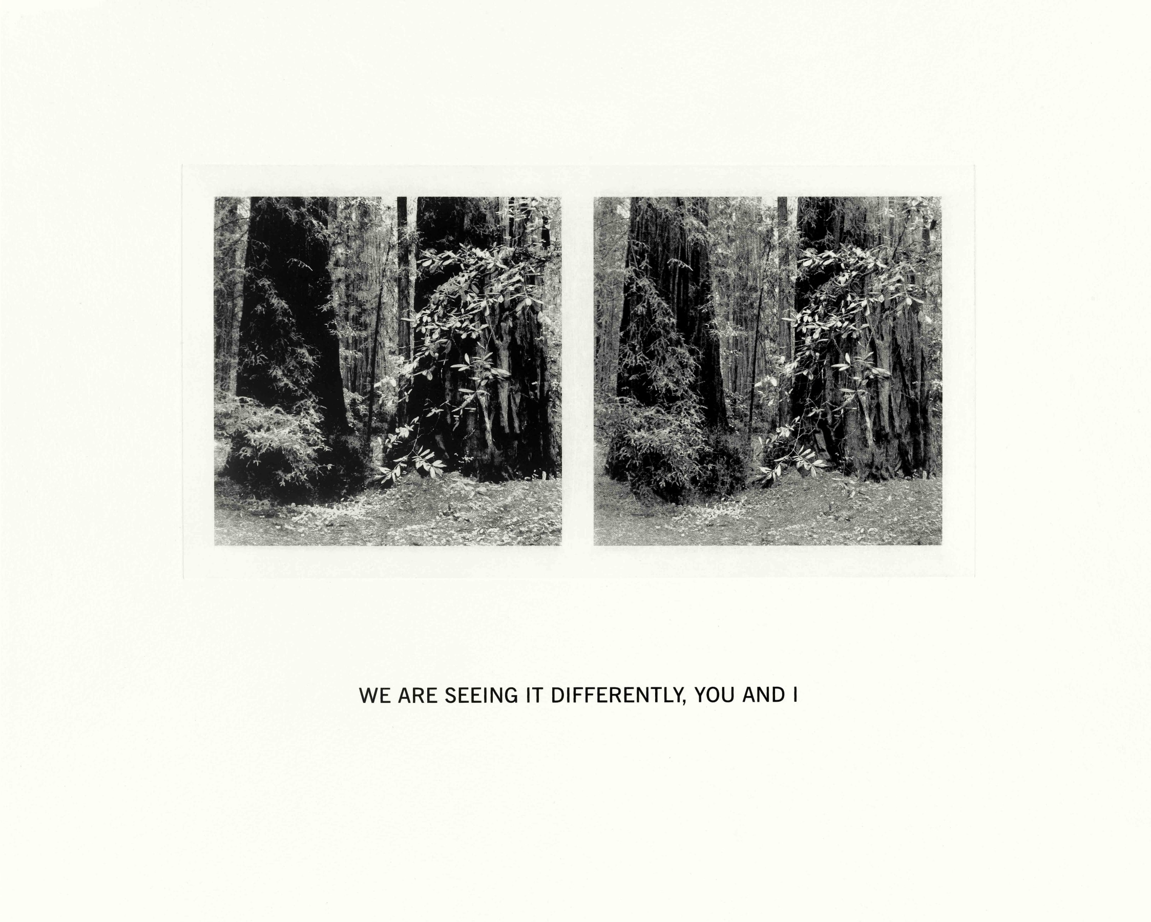 Susan Silton We Are Seeing It Differently, You And I, 2020