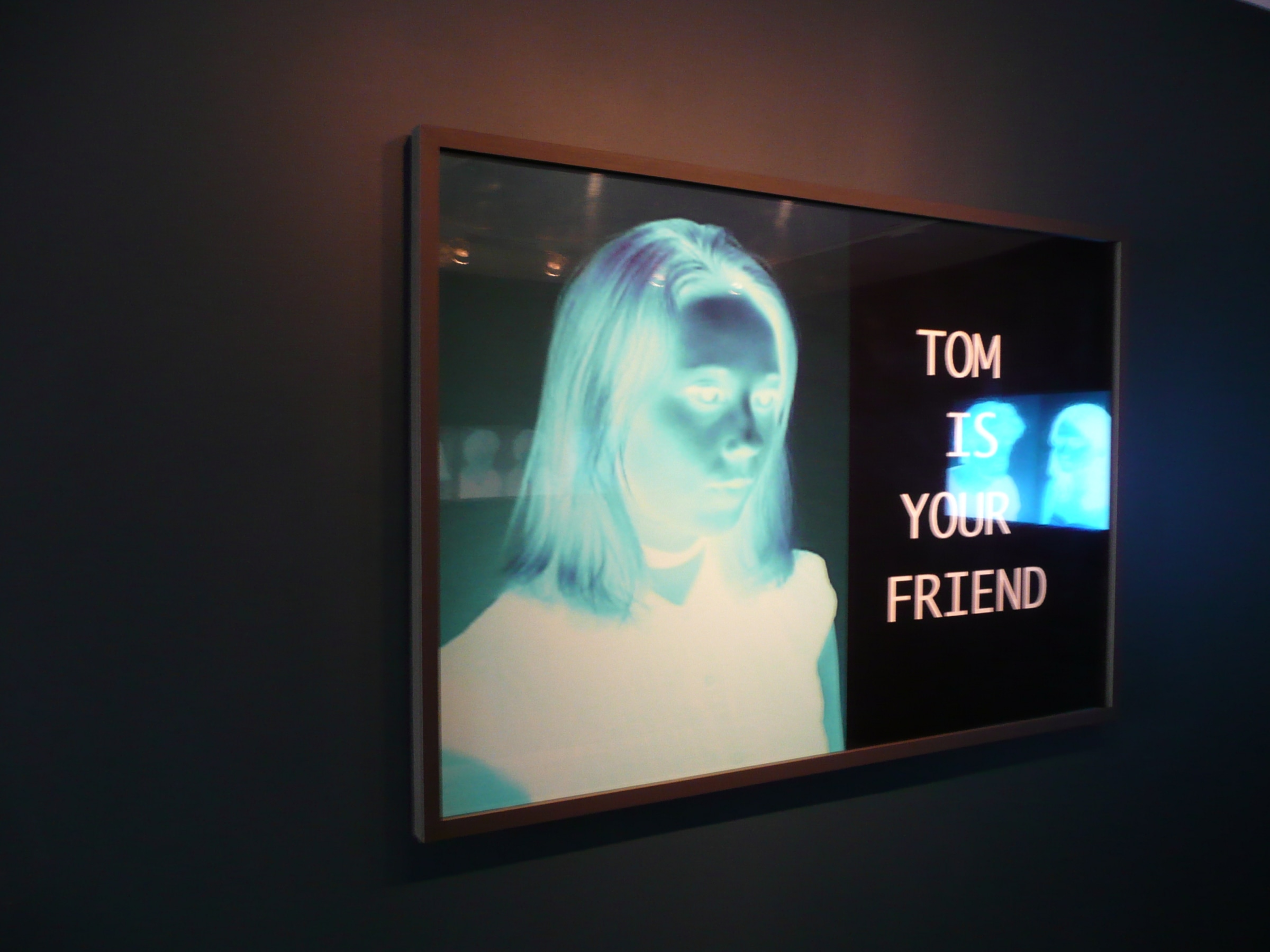Installation View of Wolfgang Hastert: Tom Is Your Friend
