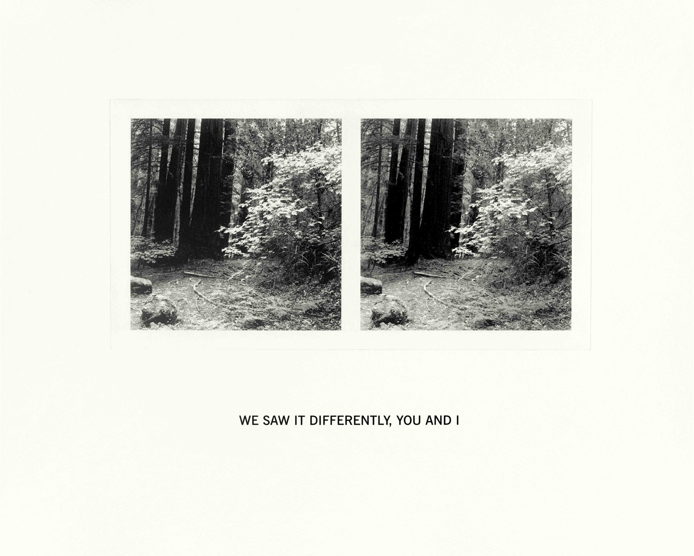 Susan Silton We Saw It Differently you and I, 2020