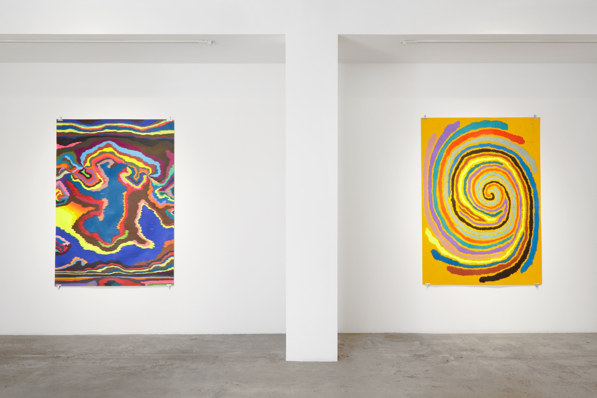 Installation View of Dennis Koch: Catch-22 x TWO