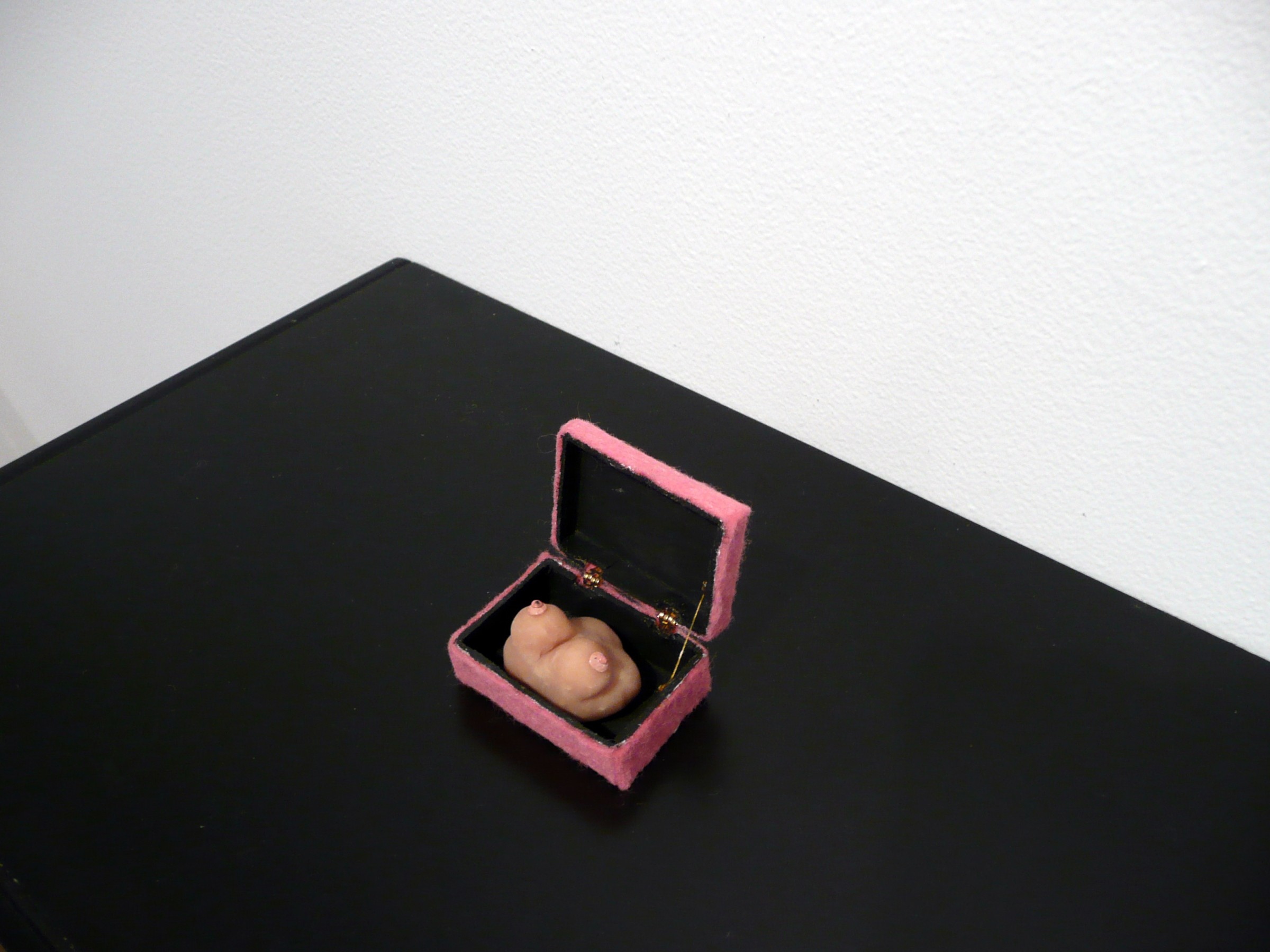 Installation View of COCKED! The Possessed Male: Object of Desire