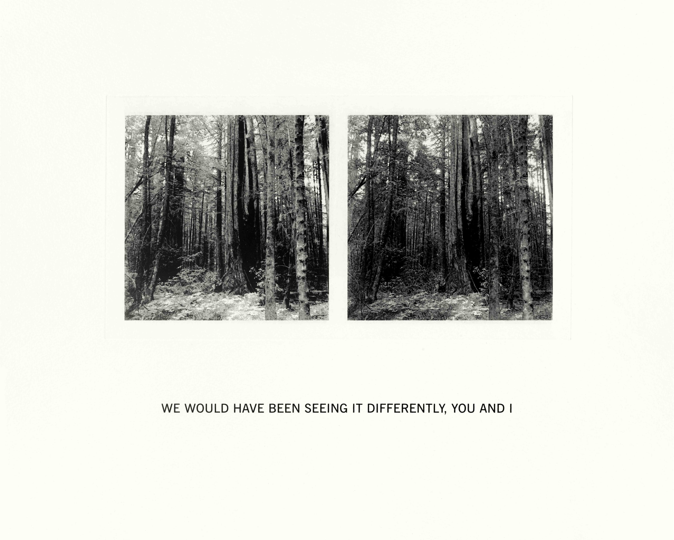 Susan Silton We Would Have Been Seeing It Differently, You and I, 2020