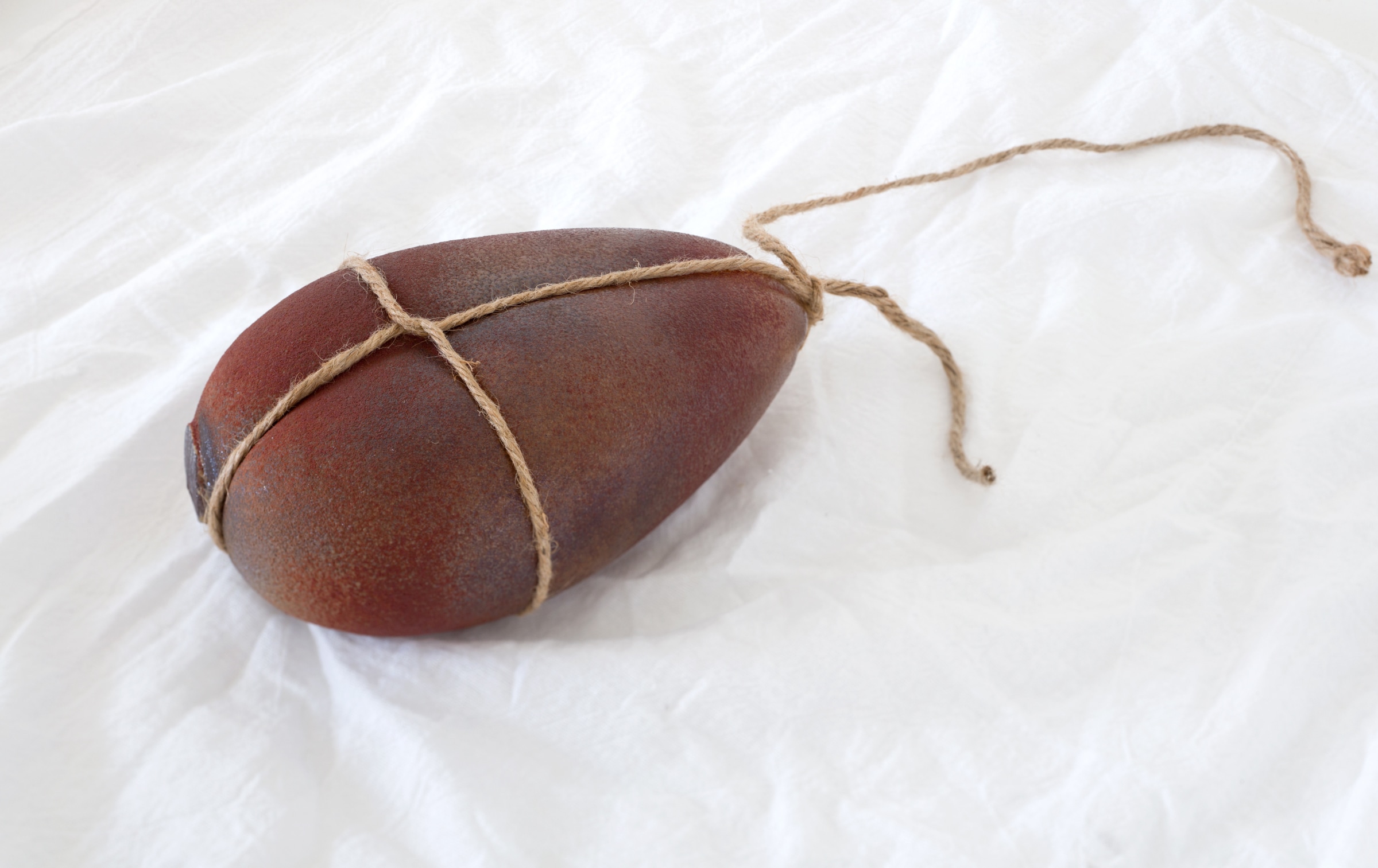 Miyoshi Barosh, Untitled Meat, glass sculpture bound in twine from 2015