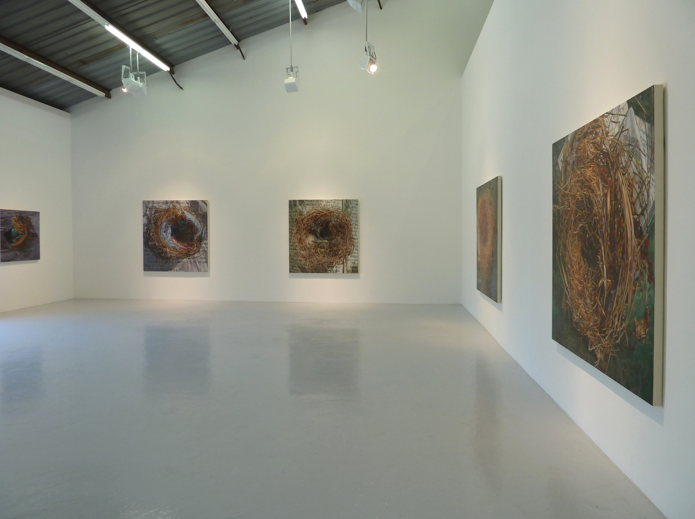 Installation View of Gail Roberts: Entanglement