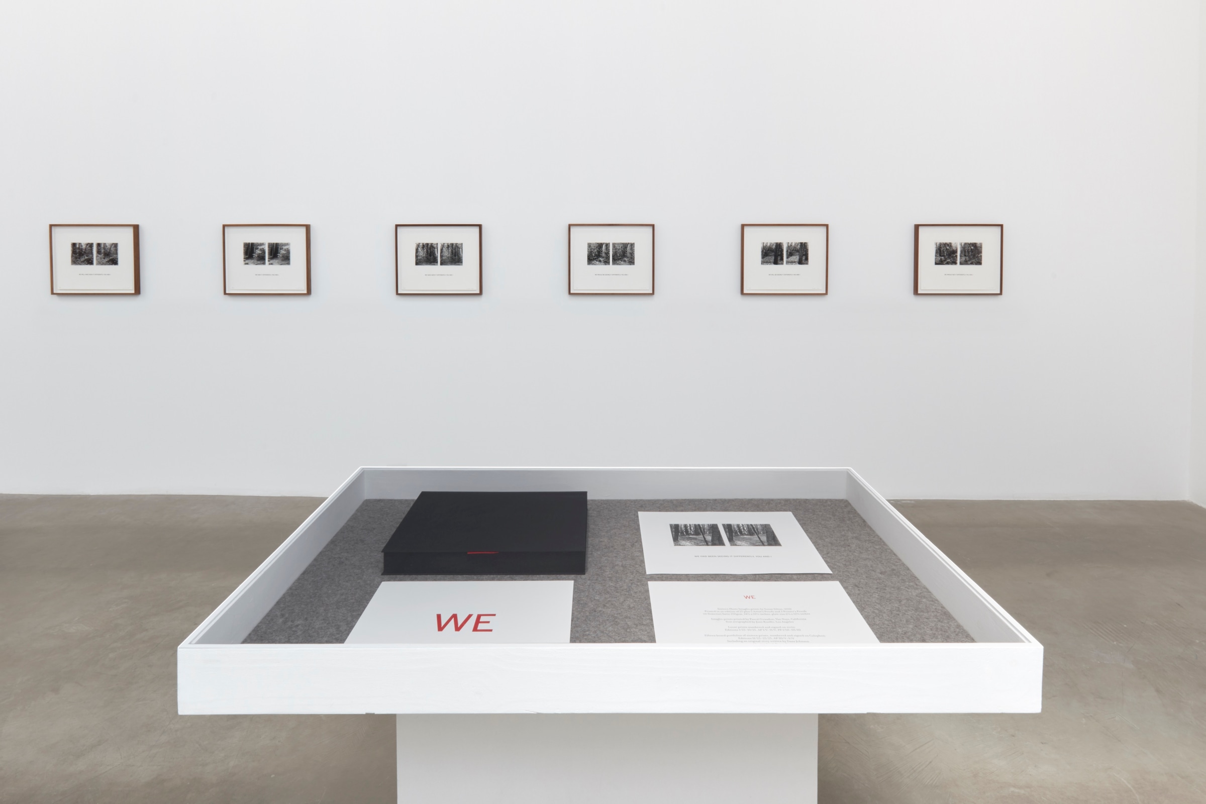 Installation view of Susan Silton: WE_Image 6