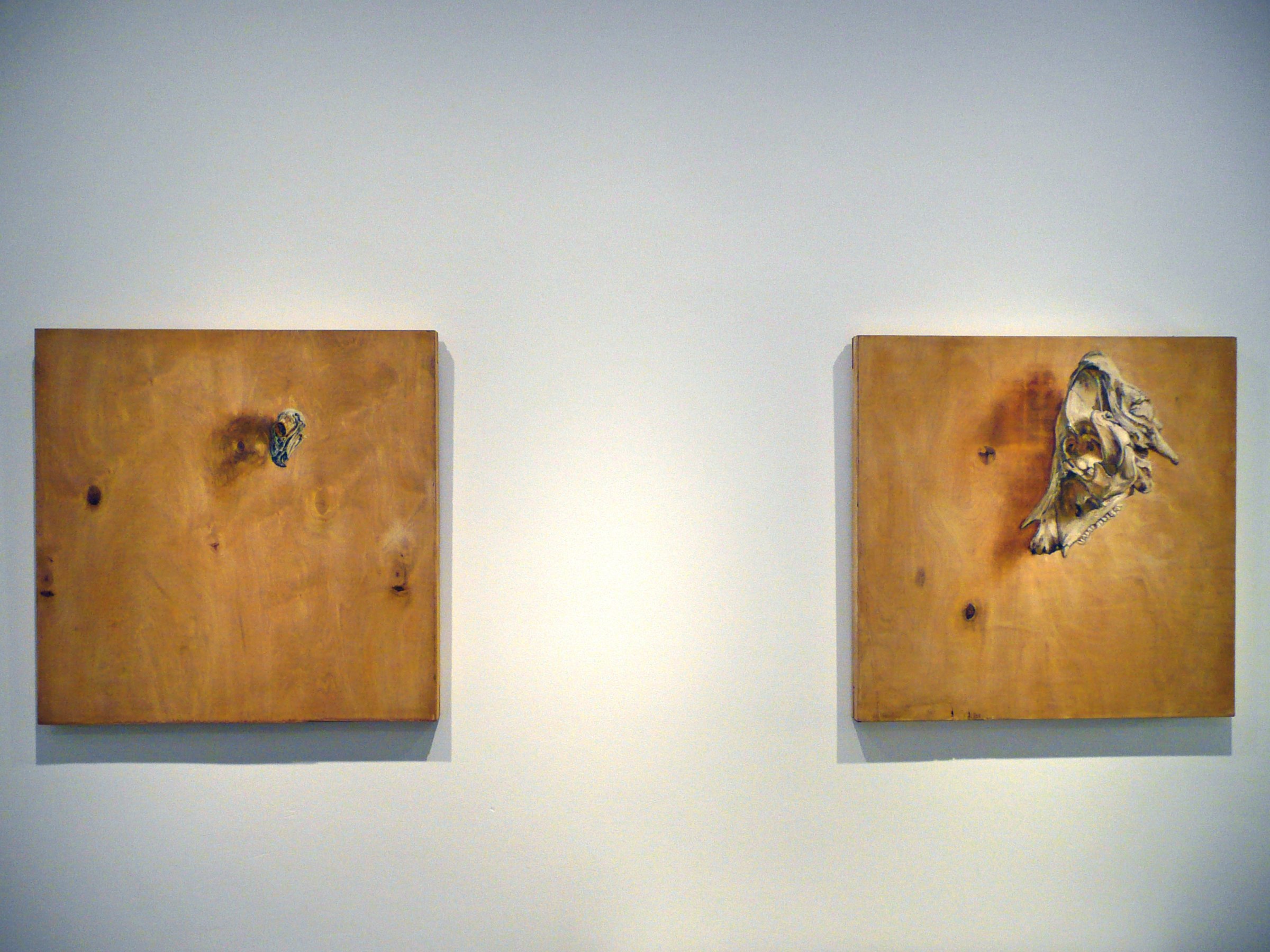 Installation View of Gail Roberts: Accumulations