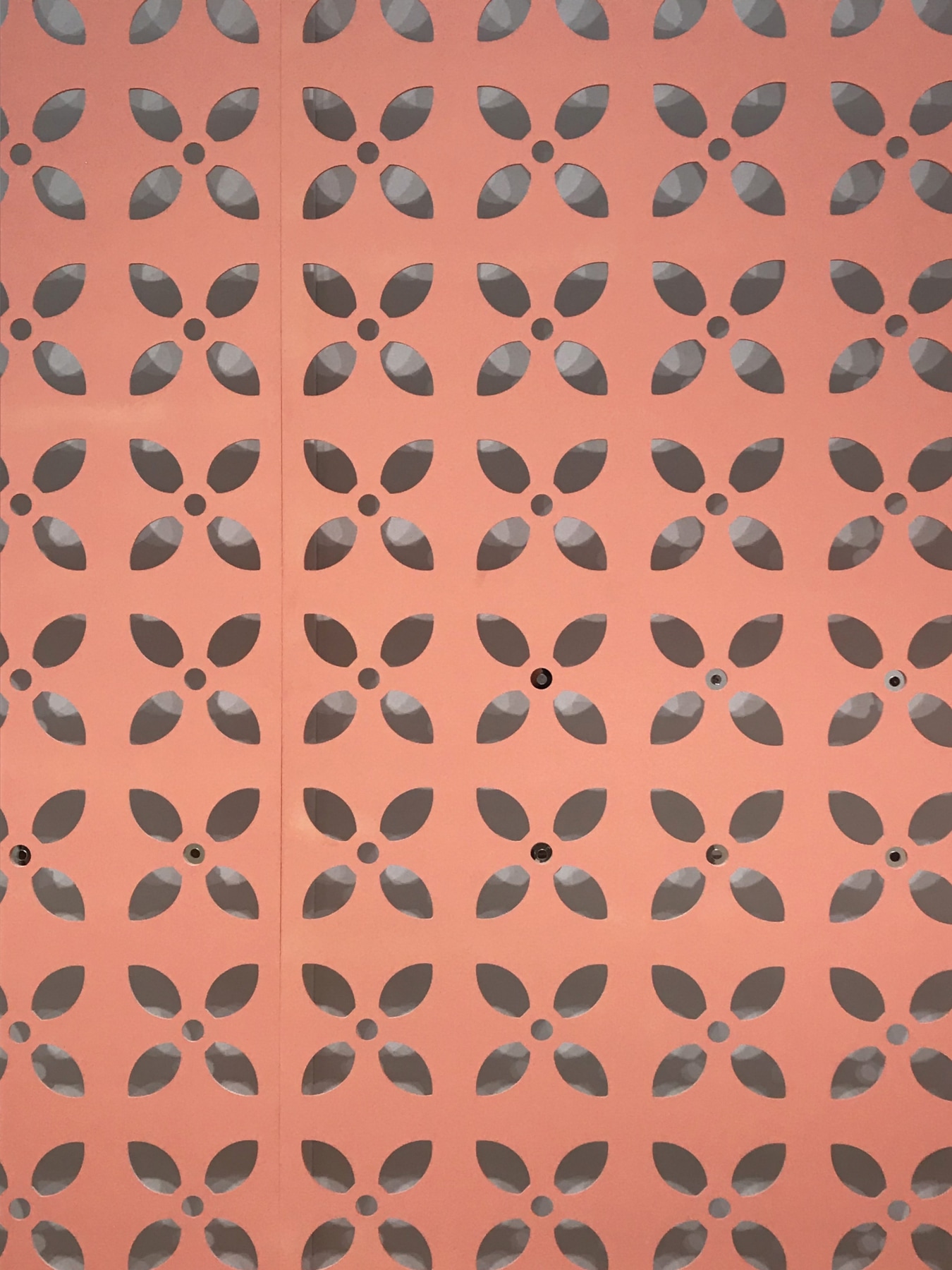 Detail of&nbsp;GRAFT