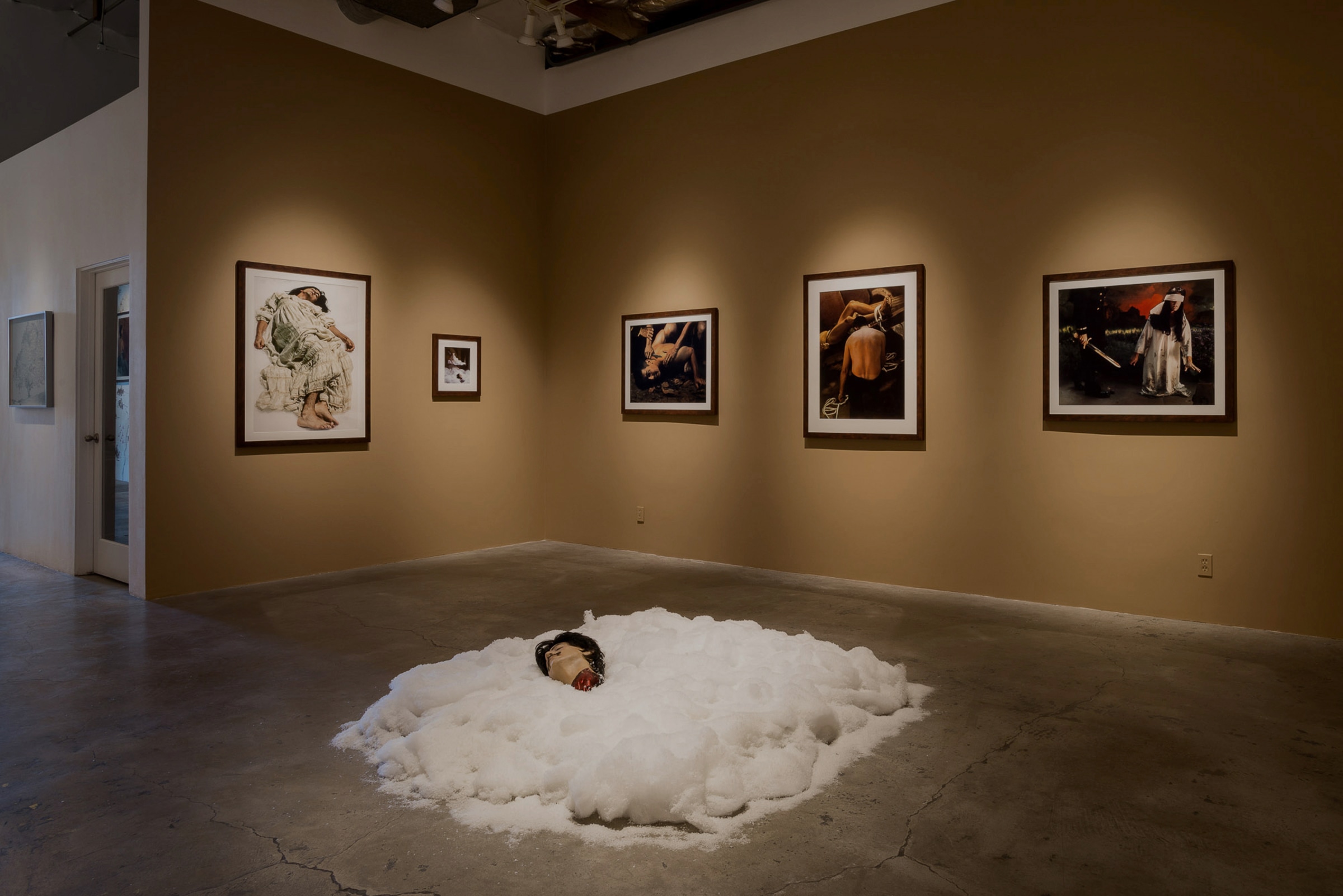 Installation View of&nbsp;Ken Gonzales-Day:&nbsp;Bone-Grass Boy: The Secret Banks of the Conejos River