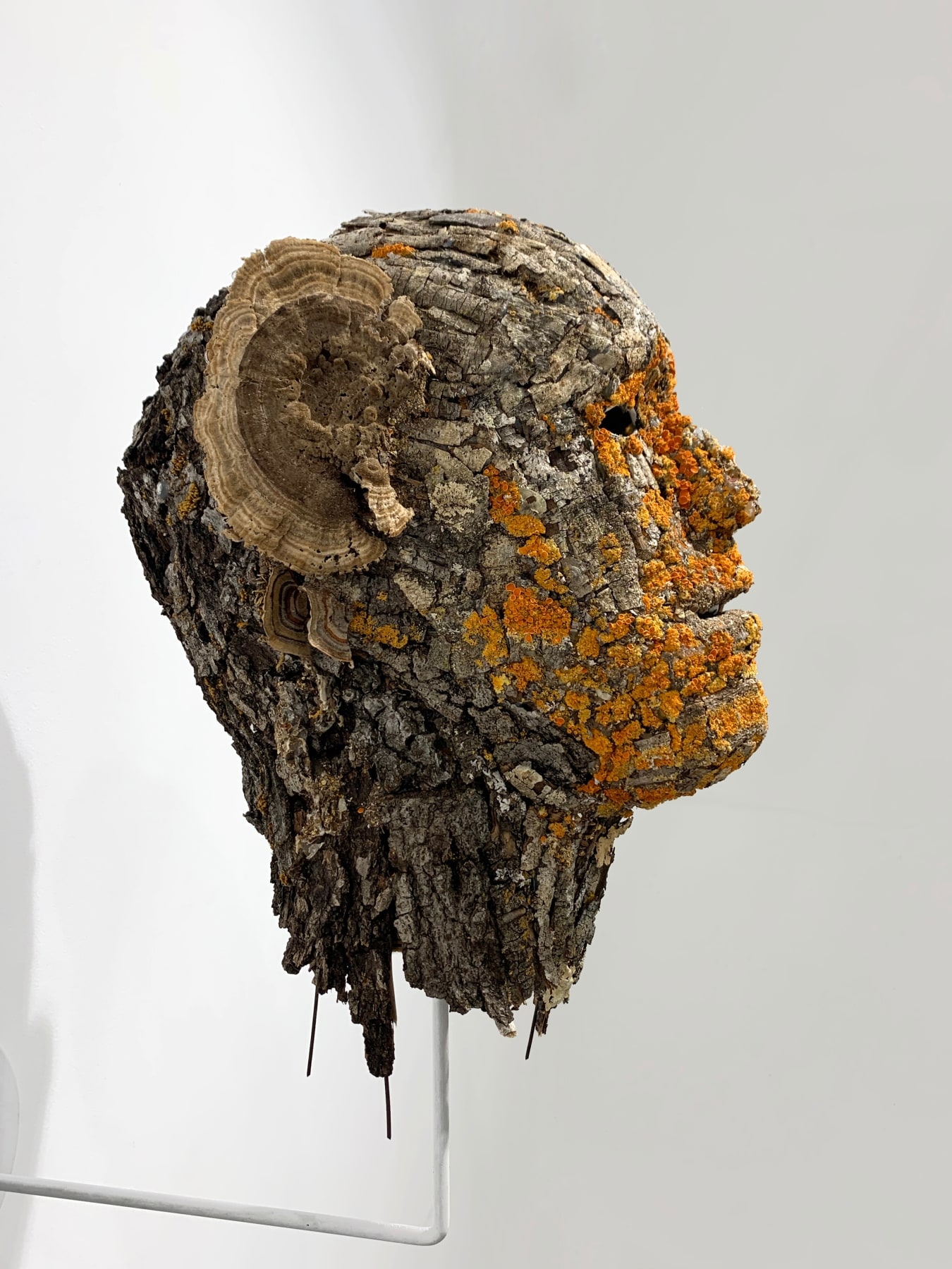 Hector Dionicio Mendoza