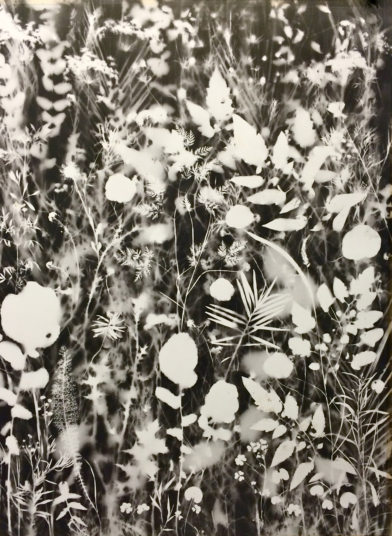 Hector Dionicio Mendoza