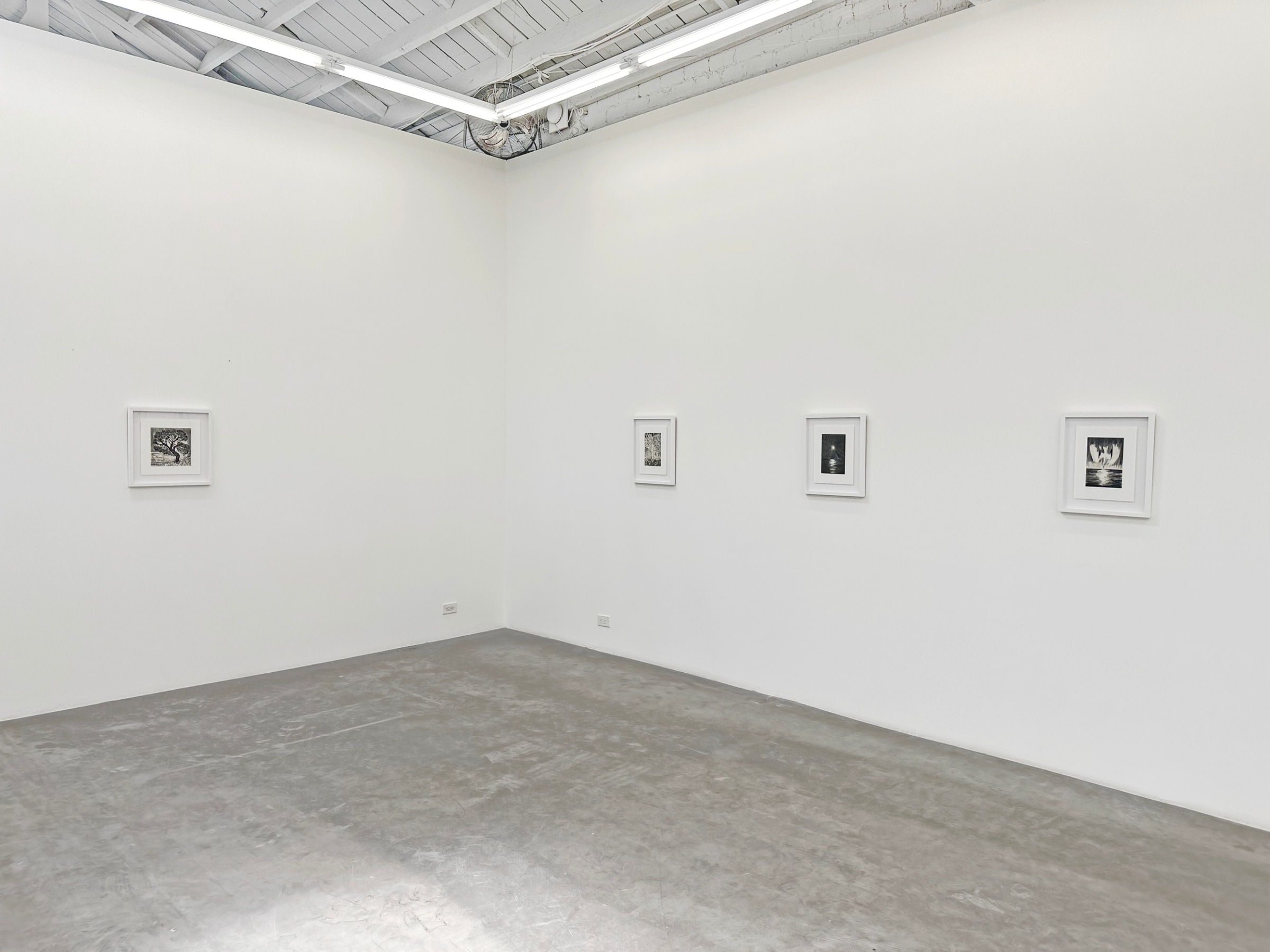 Installation view of ERIK OLSON: The Mountain and the Sea, on view June 17 - August 5, 2023