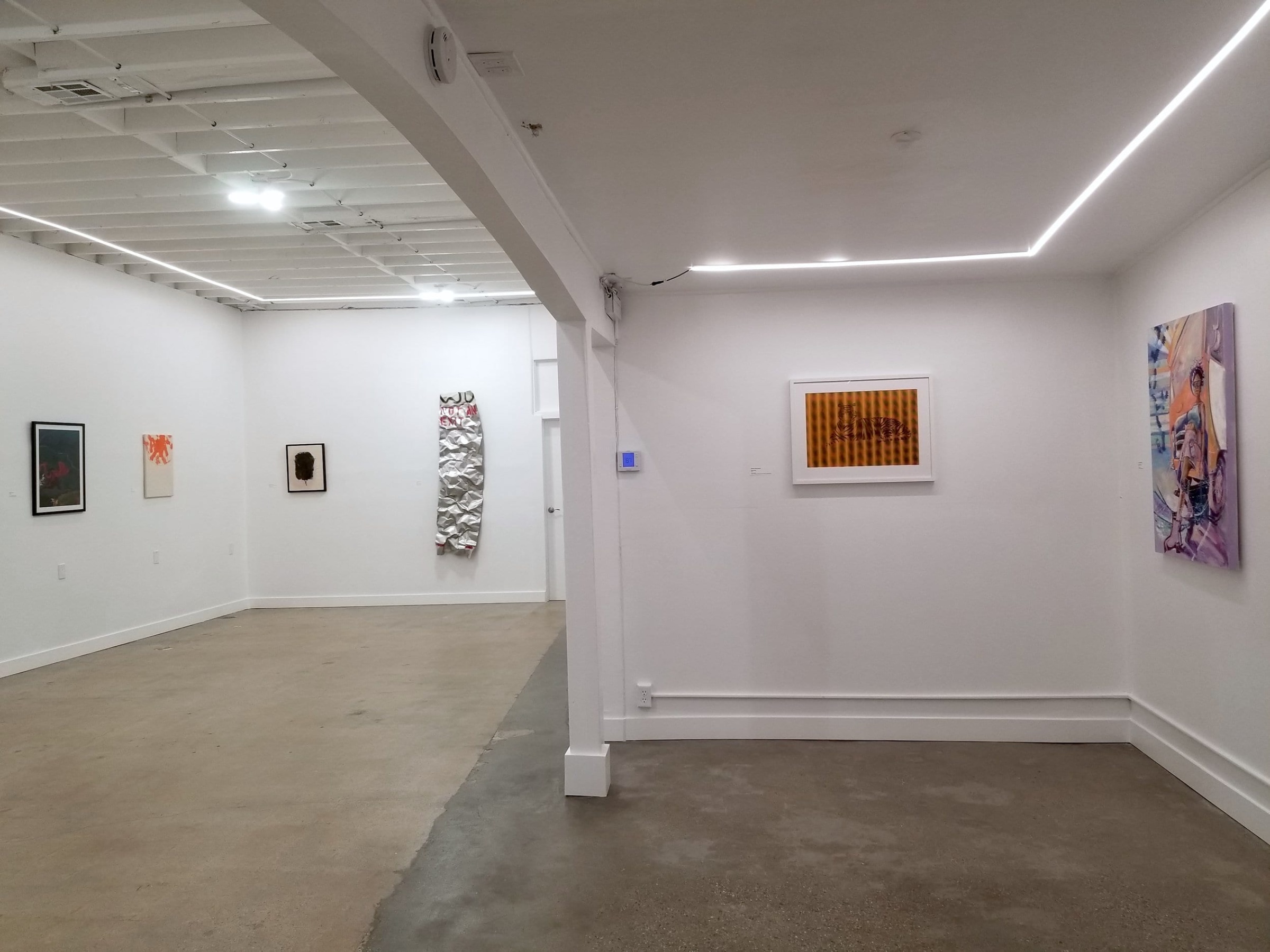 Installation view of Carla Jay Harris' The Lake&nbsp;at the Xela Institute of Art Inaugural Exhibition