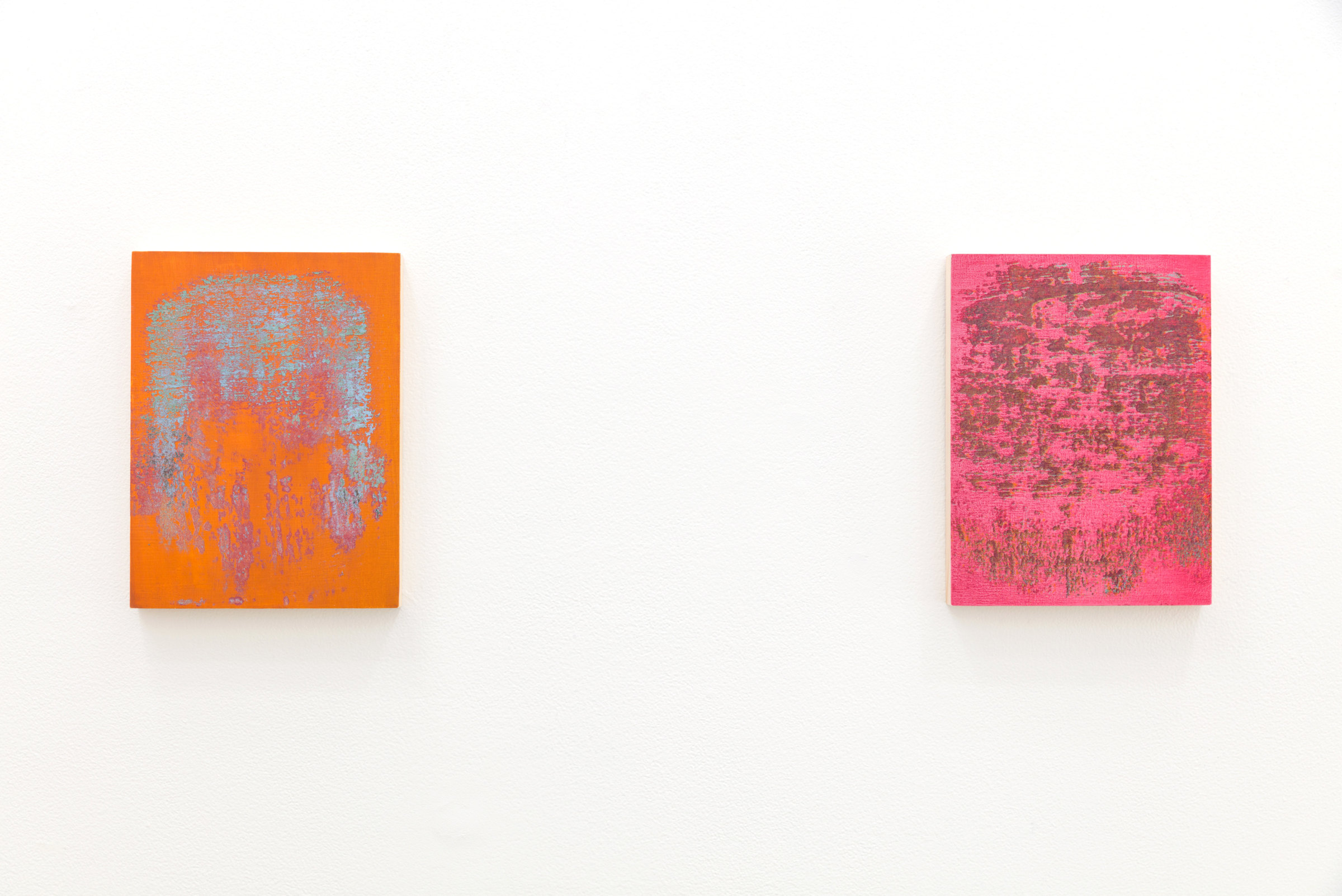 Installation View of Margie Livingston: The Earth is a Brush