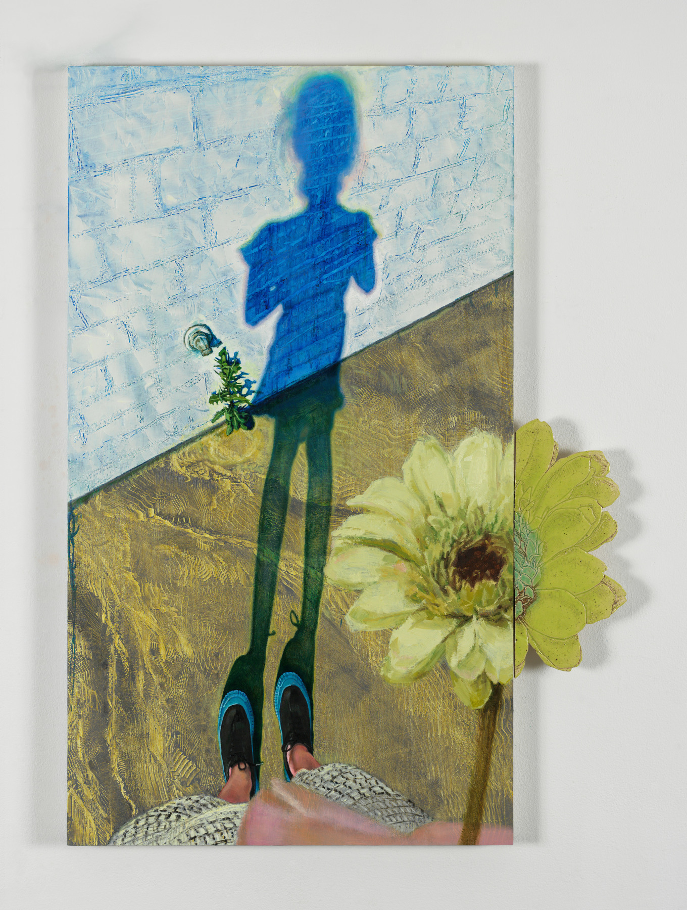 Laura Karetzky Shadow of Anemone, 2025