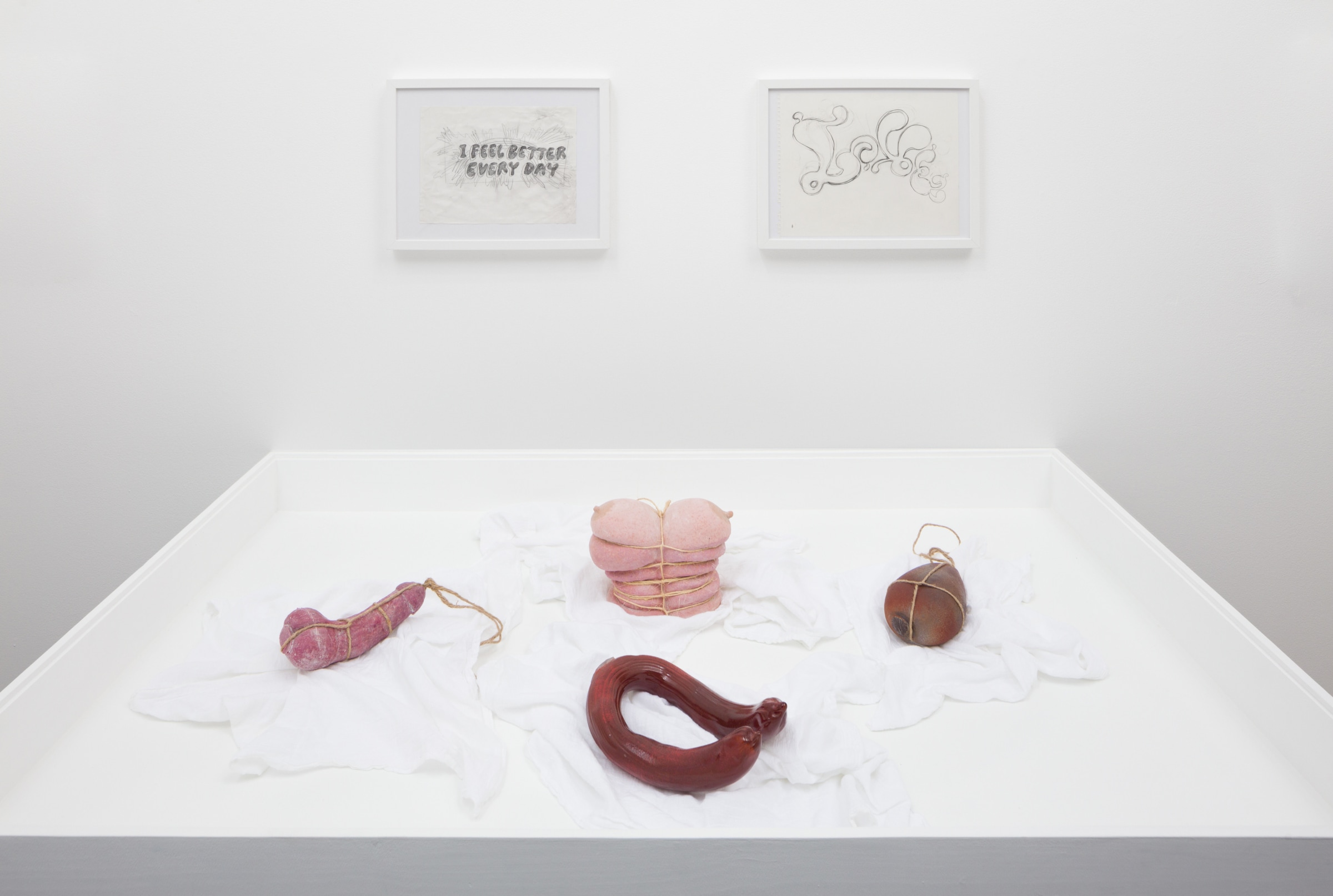 Installation View of MIYOSHI BAROSH: LOVE