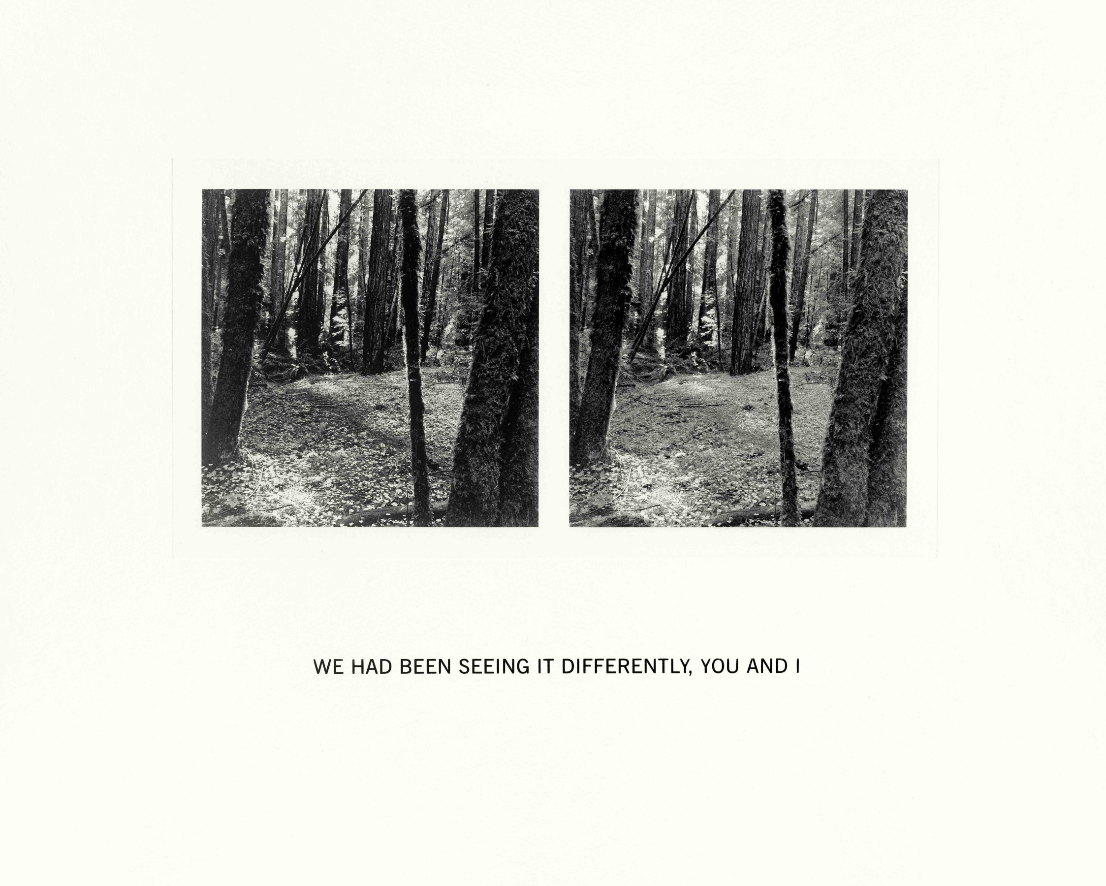 Susan Silton We Had Been Seeing It Differently, You and I, 2020