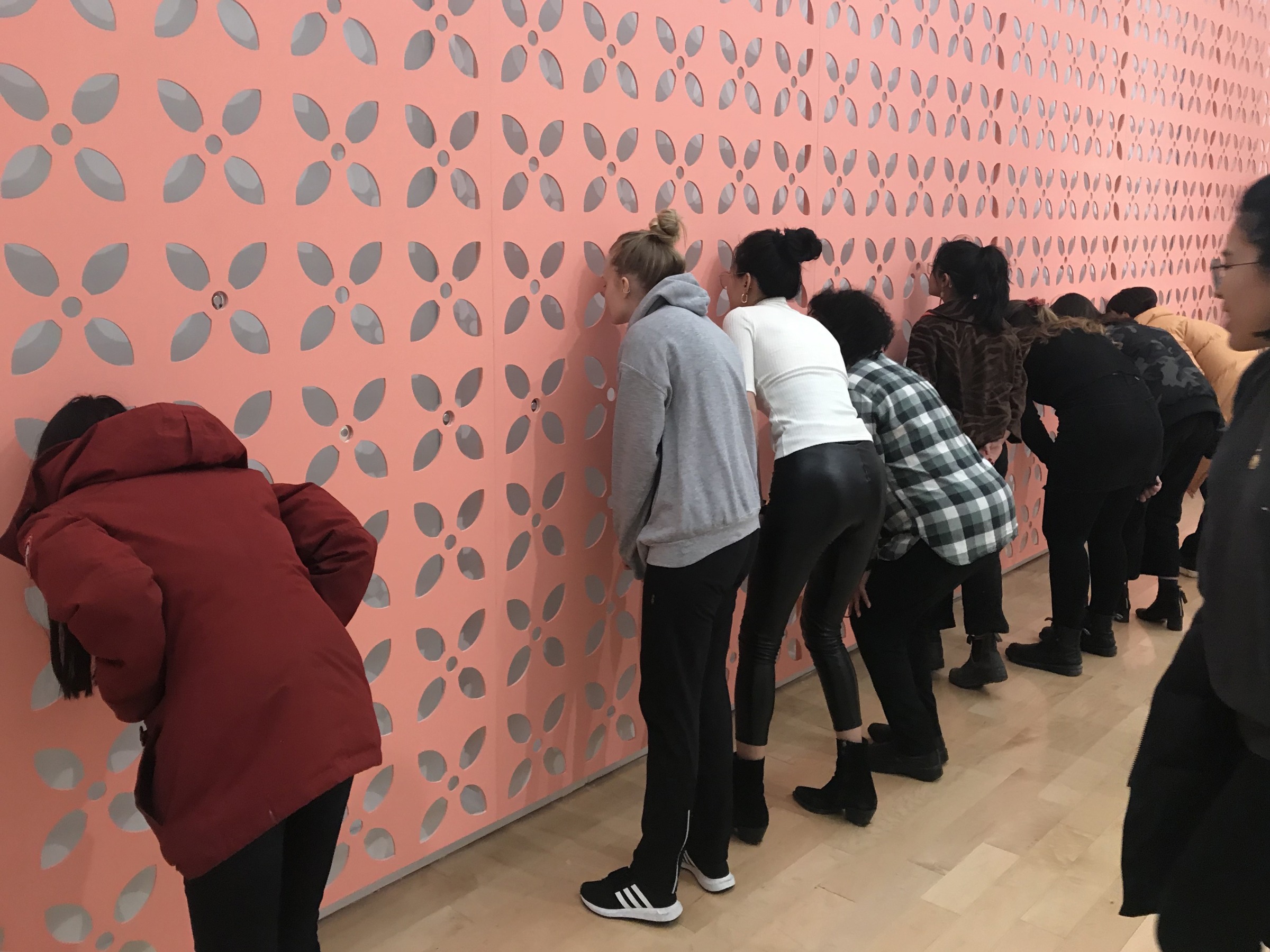 Installation view of&nbsp;GRAFT&nbsp;