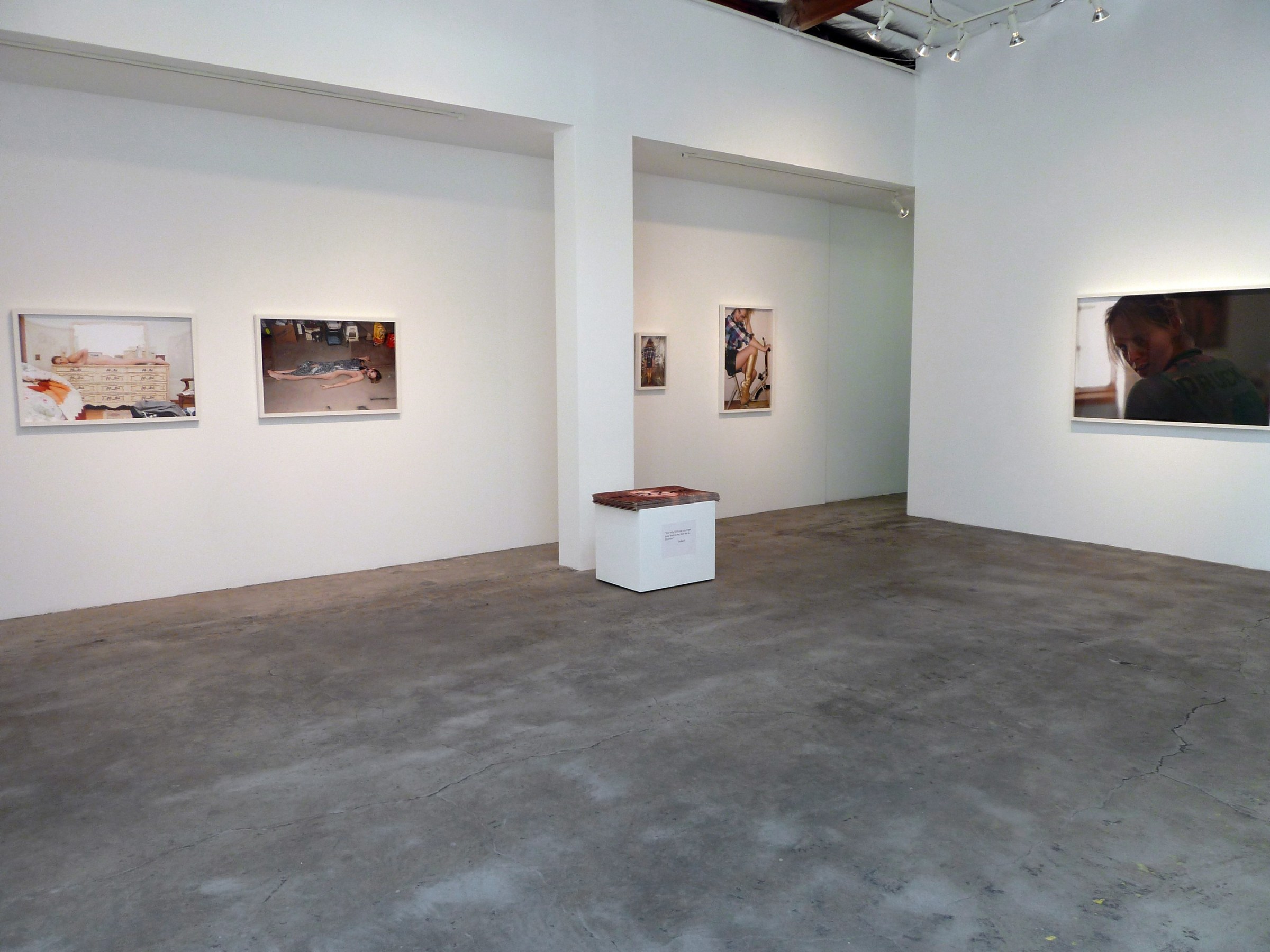 Installation View of Zackary Drucker and Amos Mac: Distance is where your heart is, home is where you hang your heart​
