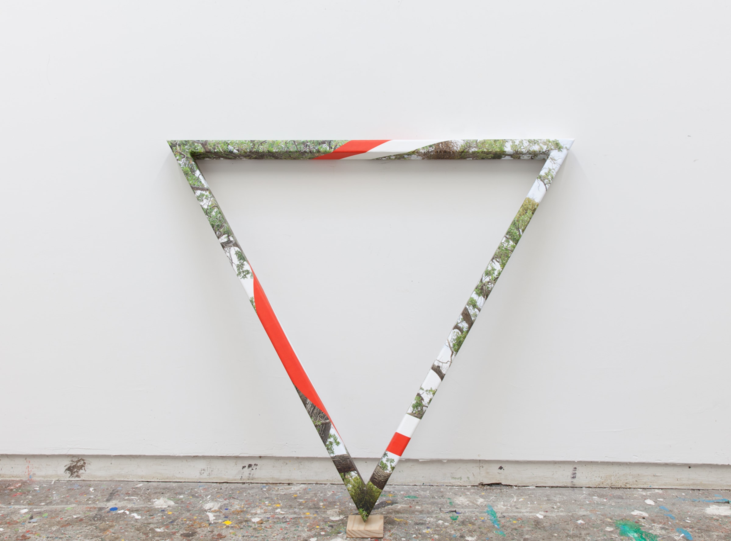 James Hyde TRIANGULAR TREE, 2015