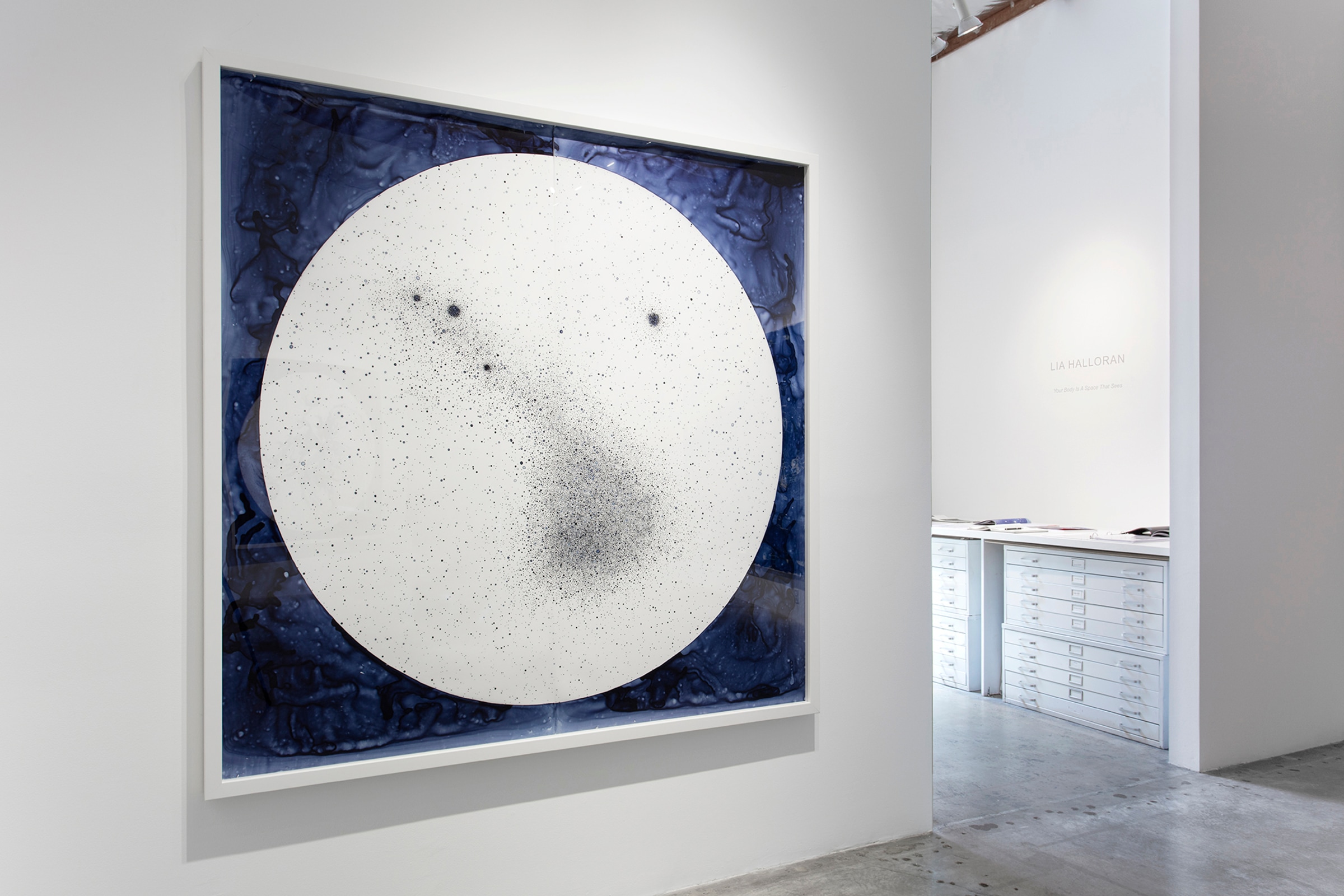 Install View of Lia Halloran: Your Body is a Space That Sees