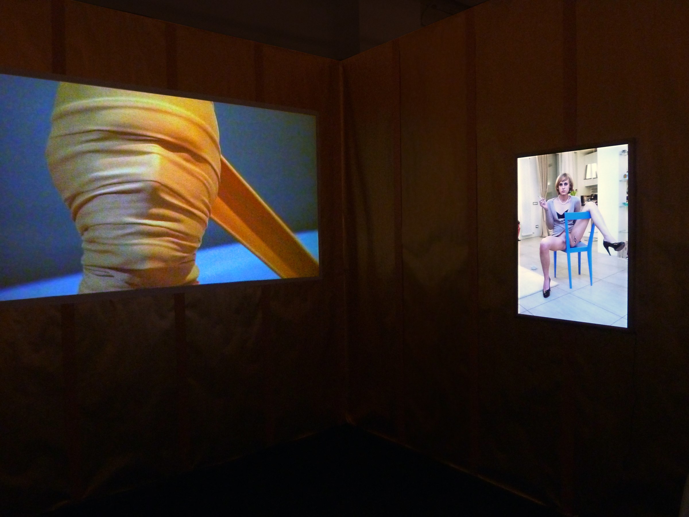 Installation View of Luis De Jesus Los Angeles at VOLTA New York 2012 featuring Zackary Drucker